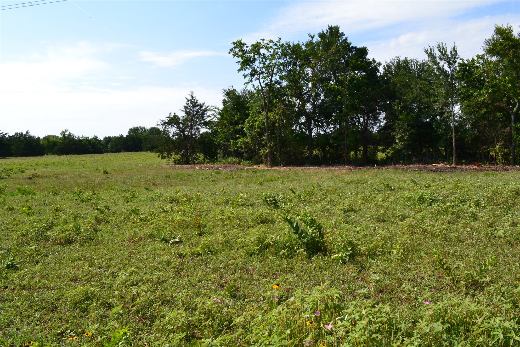 TBD County Rd 2244 Road, Quinlan, TX, 75474