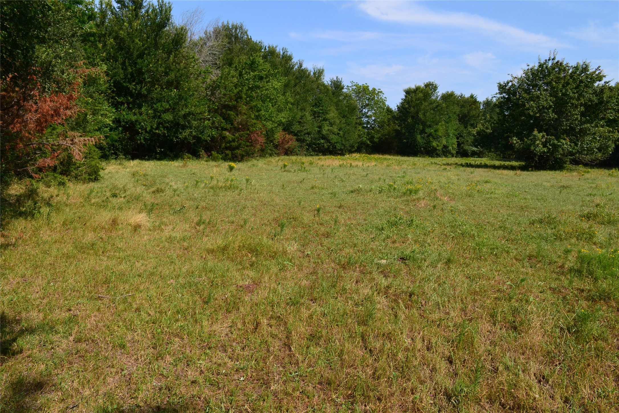 Property photo 01 of TRACT 2 TBD County Road 2244 Road, Quinlan, TX 75474 | MLS #20142404