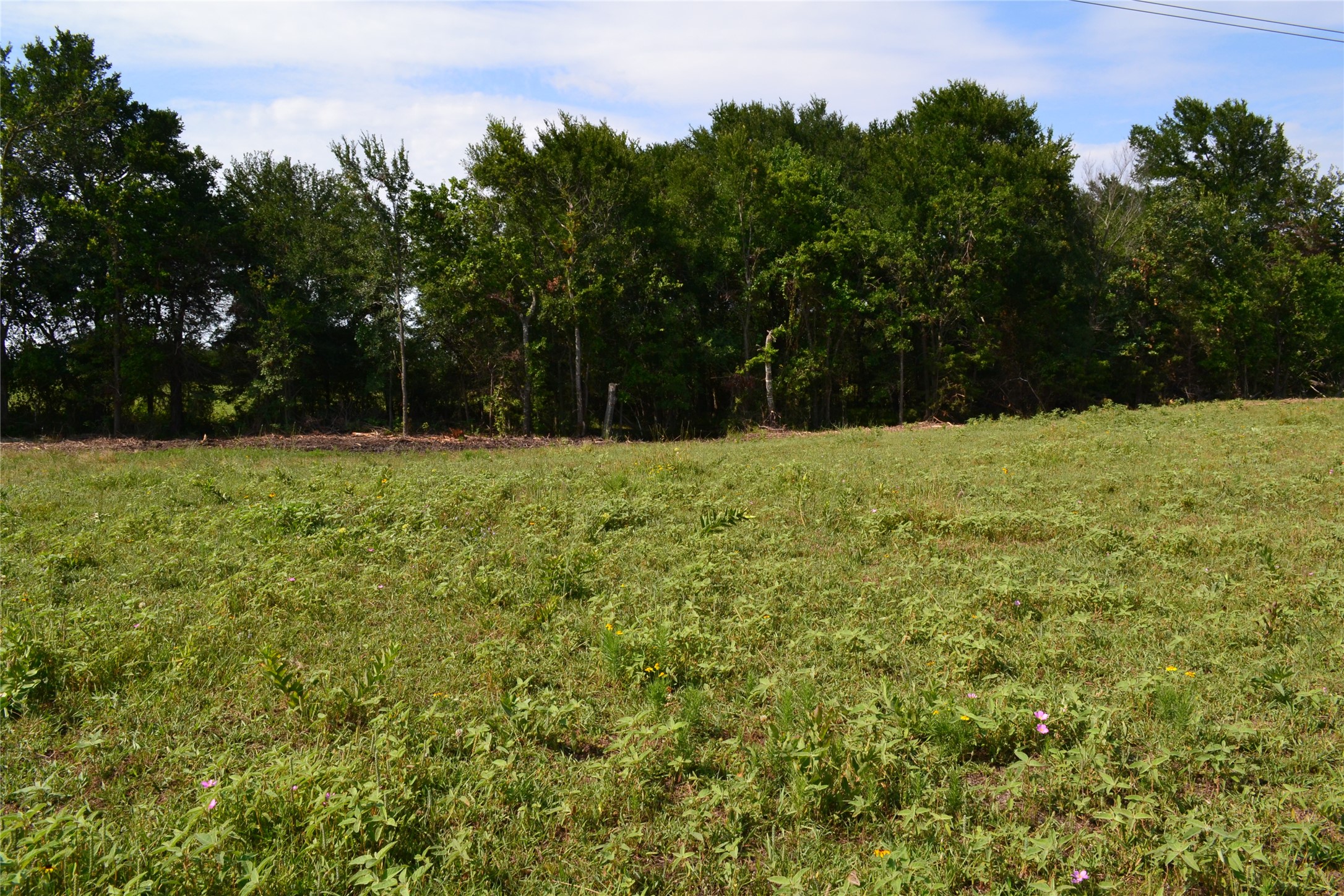 Property photo 03 of TRACT 2 TBD County Road 2244 Road, Quinlan, TX 75474 | MLS #20142404