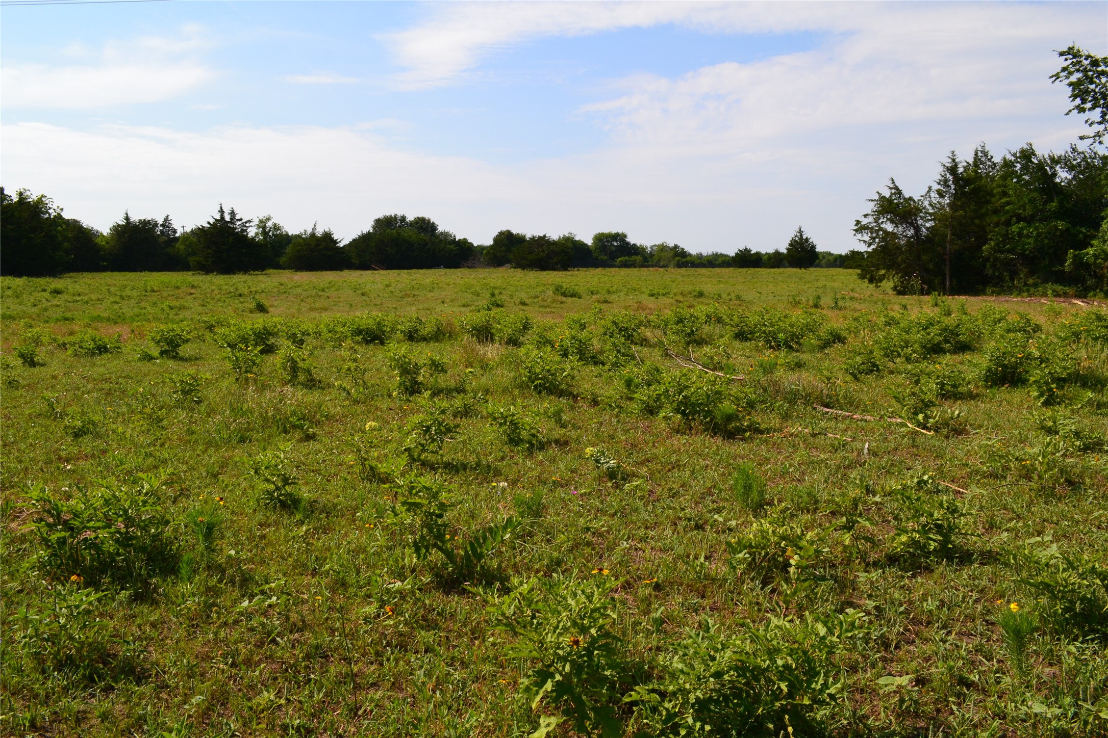 Property photo 04 of TRACT 2 TBD County Road 2244 Road, Quinlan, TX 75474 | MLS #20142404