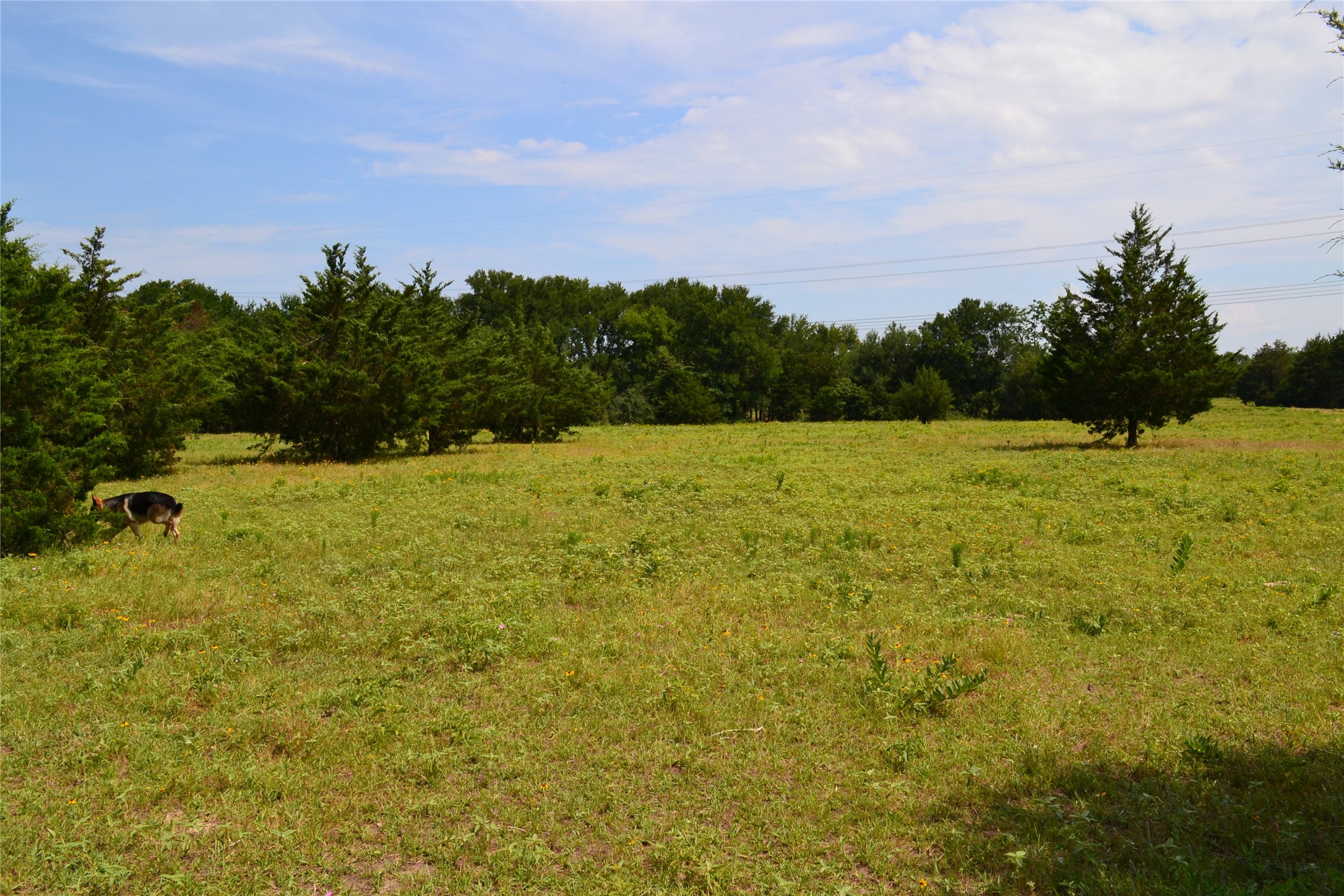 TRACT 1 TBD County Road 2244 Road, Quinlan, TX, 75474