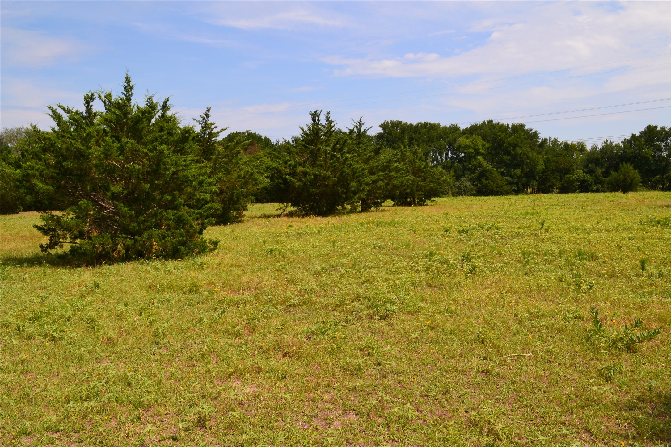 TRACT 1 TBD County Road 2244 Road, Quinlan, TX, 75474