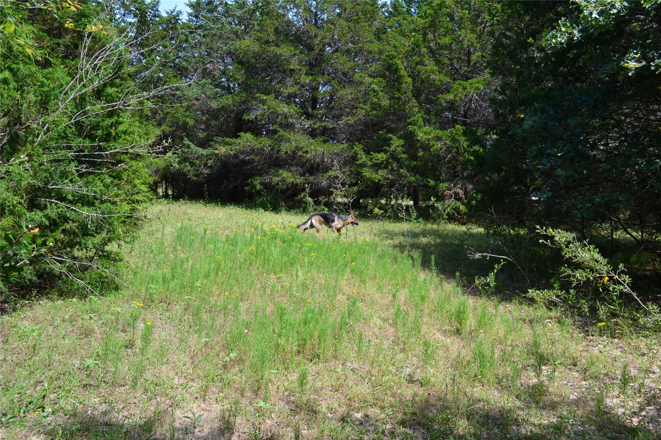 TRACT 1 TBD County Road 2244 Road, Quinlan, TX, 75474
