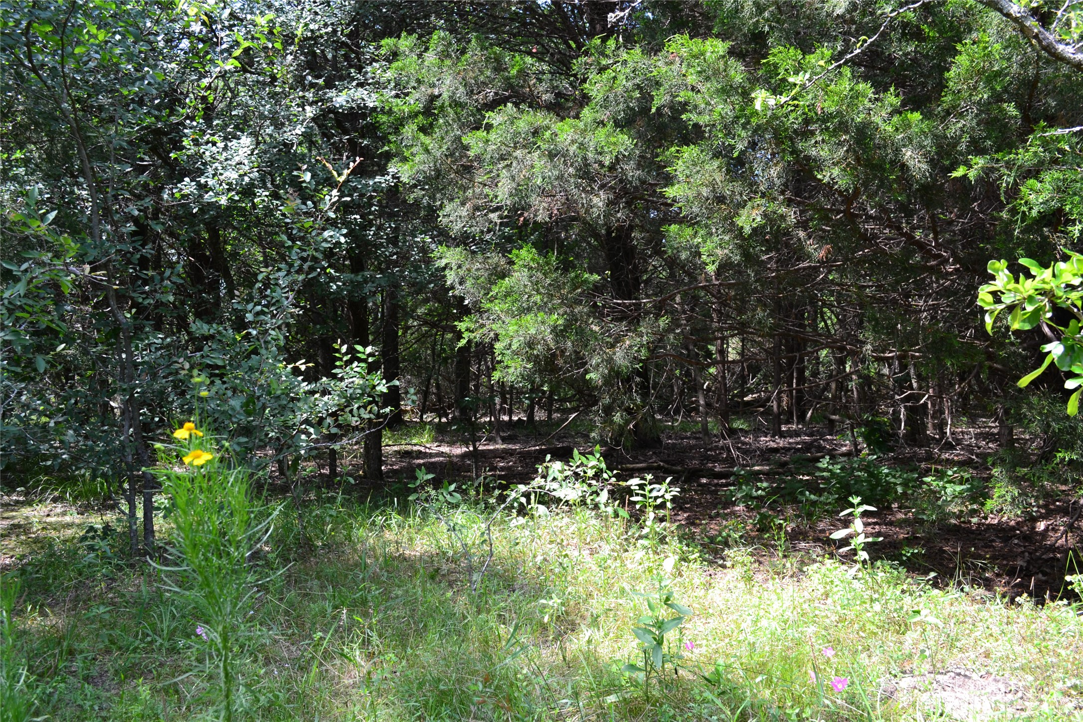 TRACT 1 TBD County Road 2244 Road, Quinlan, TX, 75474