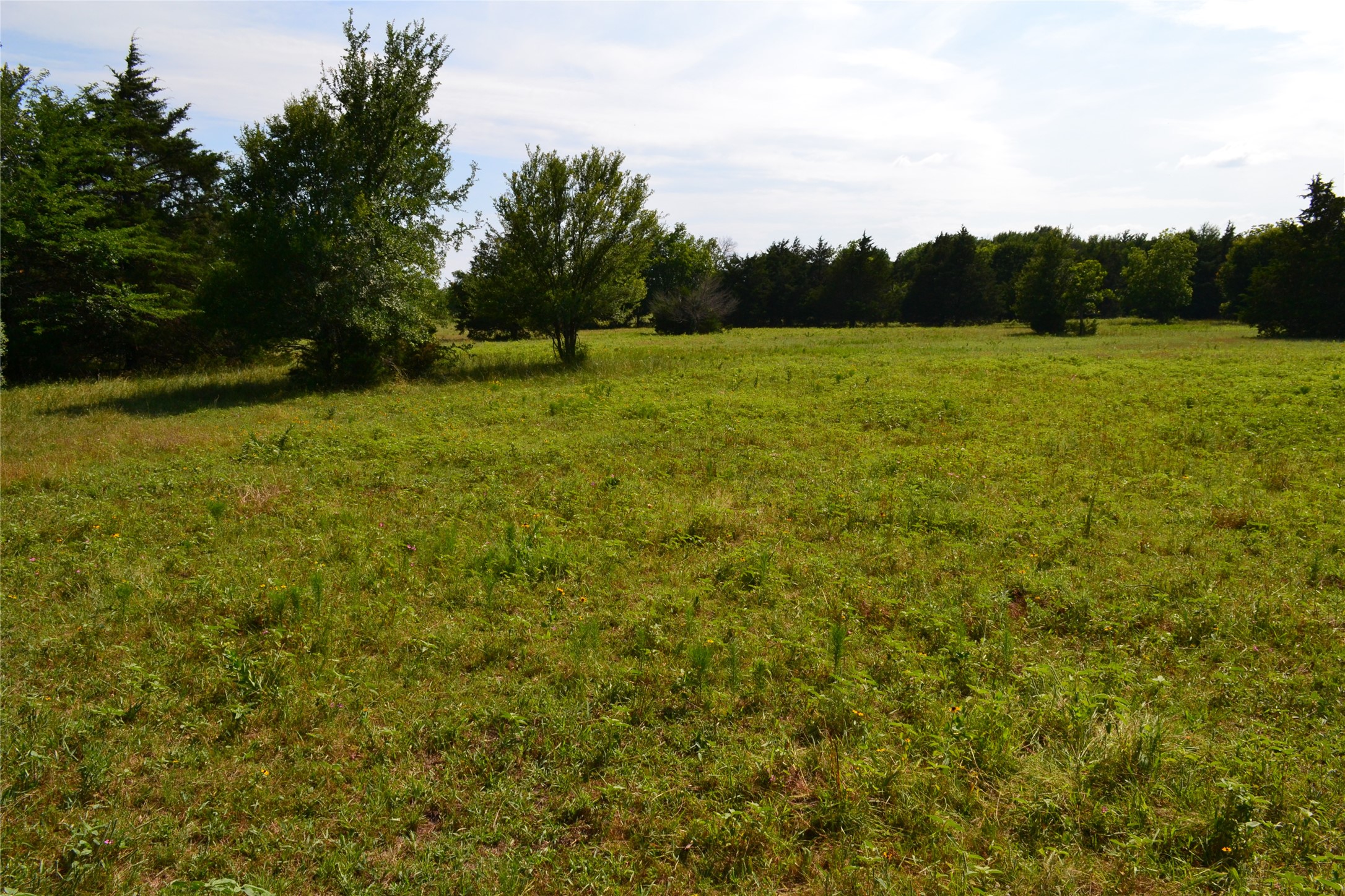 TRACT 1 TBD County Road 2244 Road, Quinlan, TX, 75474