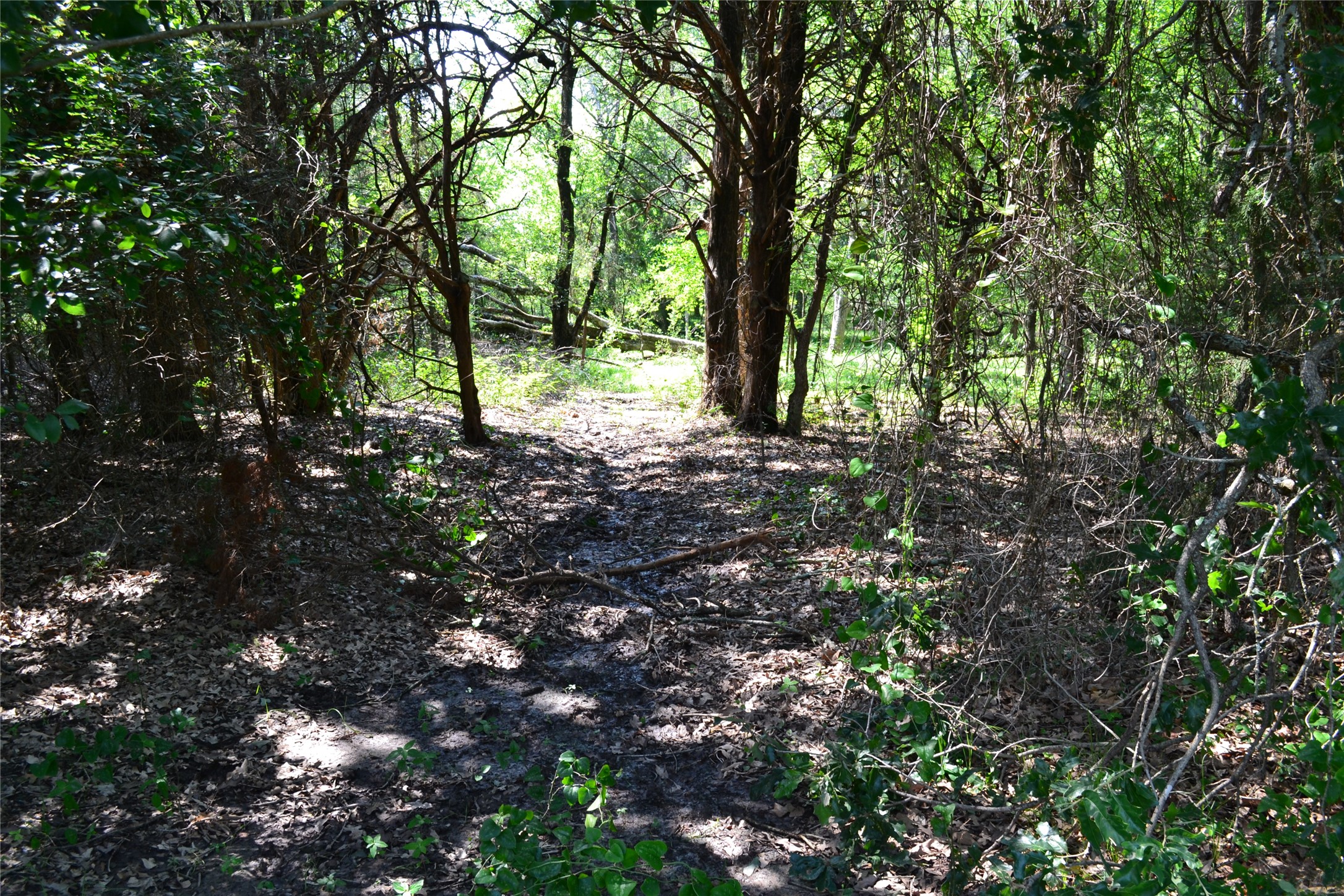 TRACT 1 TBD County Road 2244 Road, Quinlan, TX, 75474