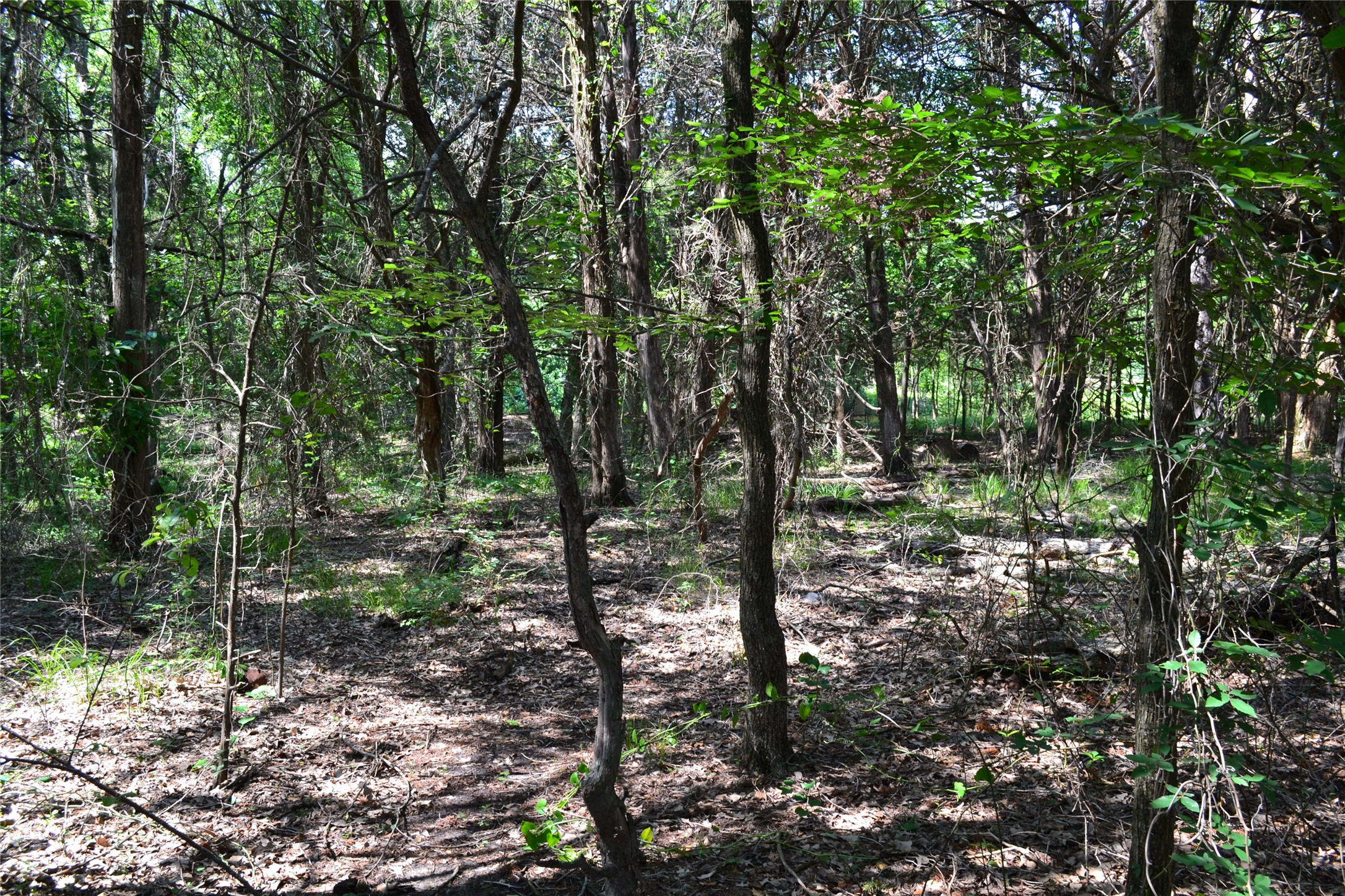 TRACT 1 TBD County Road 2244 Road, Quinlan, TX, 75474
