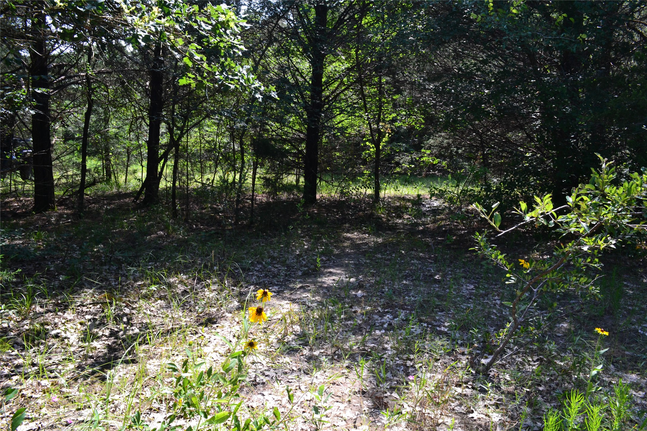 TRACT 1 TBD County Road 2244 Road, Quinlan, TX, 75474