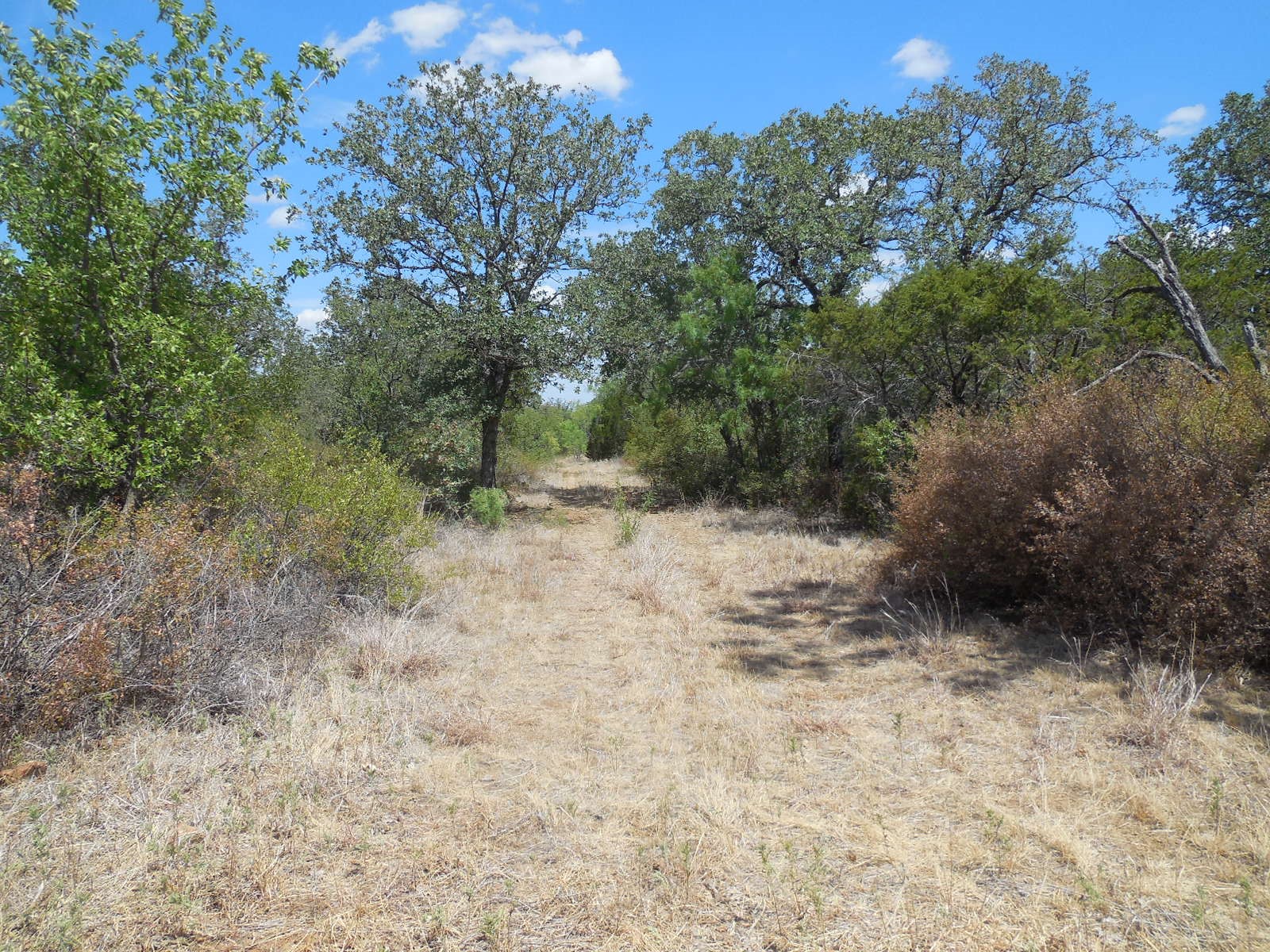 Property photo 01 of TBD 10 Acres CR 136, Ranger, TX 76470 | MLS #20147146