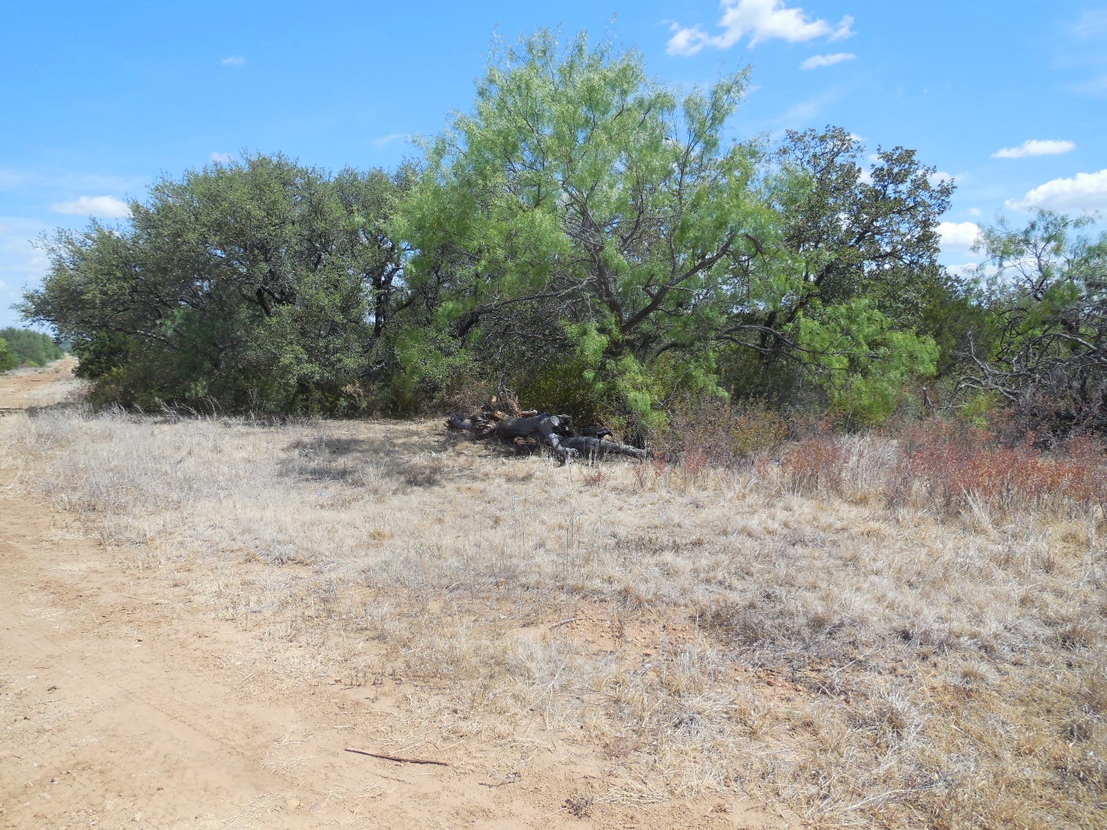 Property photo 02 of TBD 10 Acres CR 136, Ranger, TX 76470 | MLS #20147146