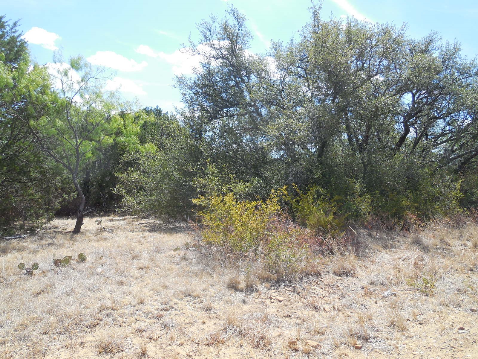 Property photo 04 of TBD 10 Acres CR 136, Ranger, TX 76470 | MLS #20147146
