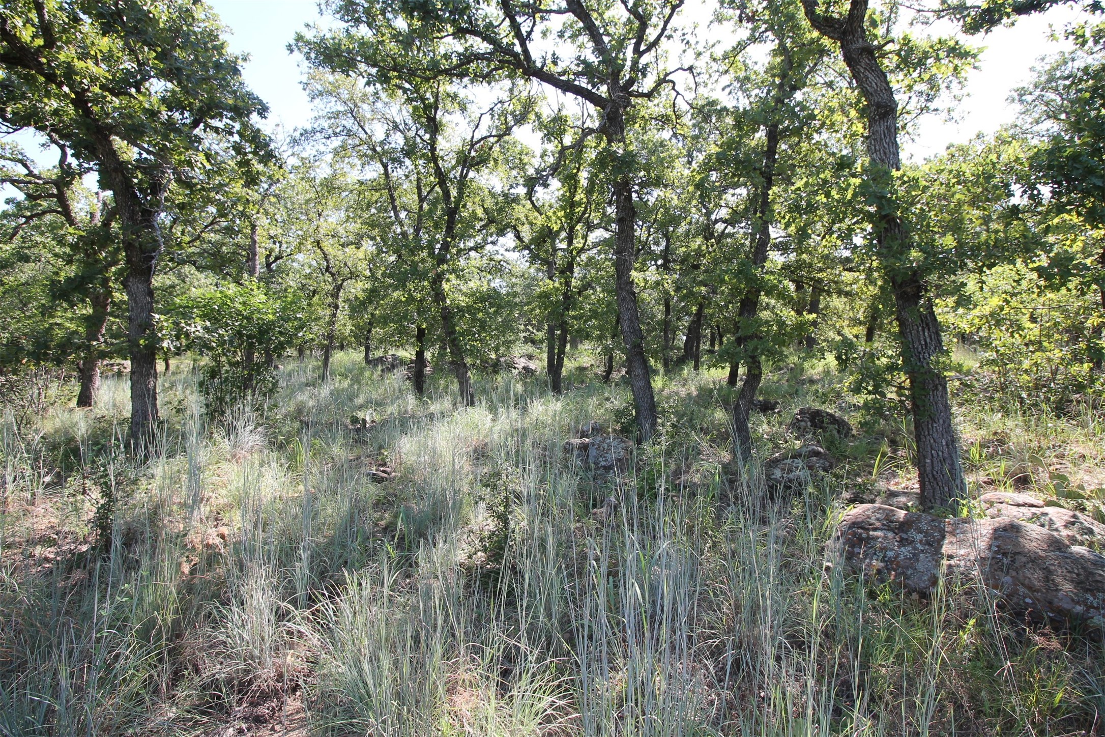 Property photo 01 of Lot 265 Ridgeline Drive, Chico, TX 76431 | MLS #20183443