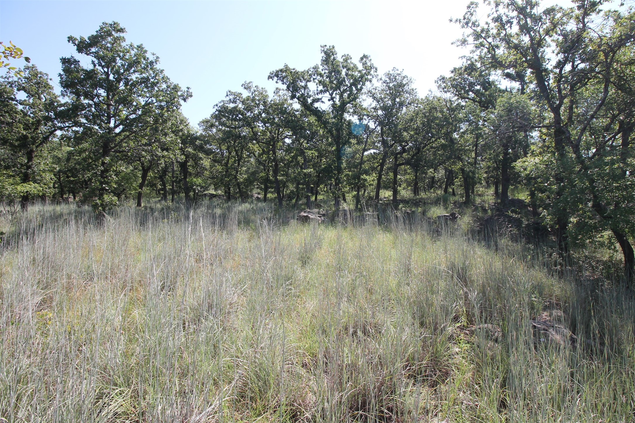 Property photo 02 of Lot 265 Ridgeline Drive, Chico, TX 76431 | MLS #20183443