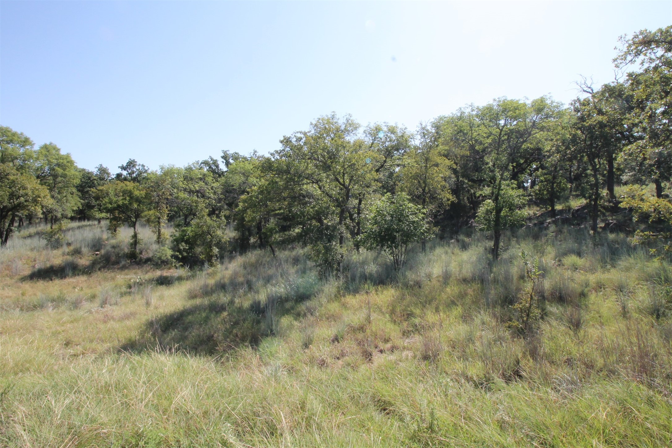 Property photo 03 of Lot 265 Ridgeline Drive, Chico, TX 76431 | MLS #20183443
