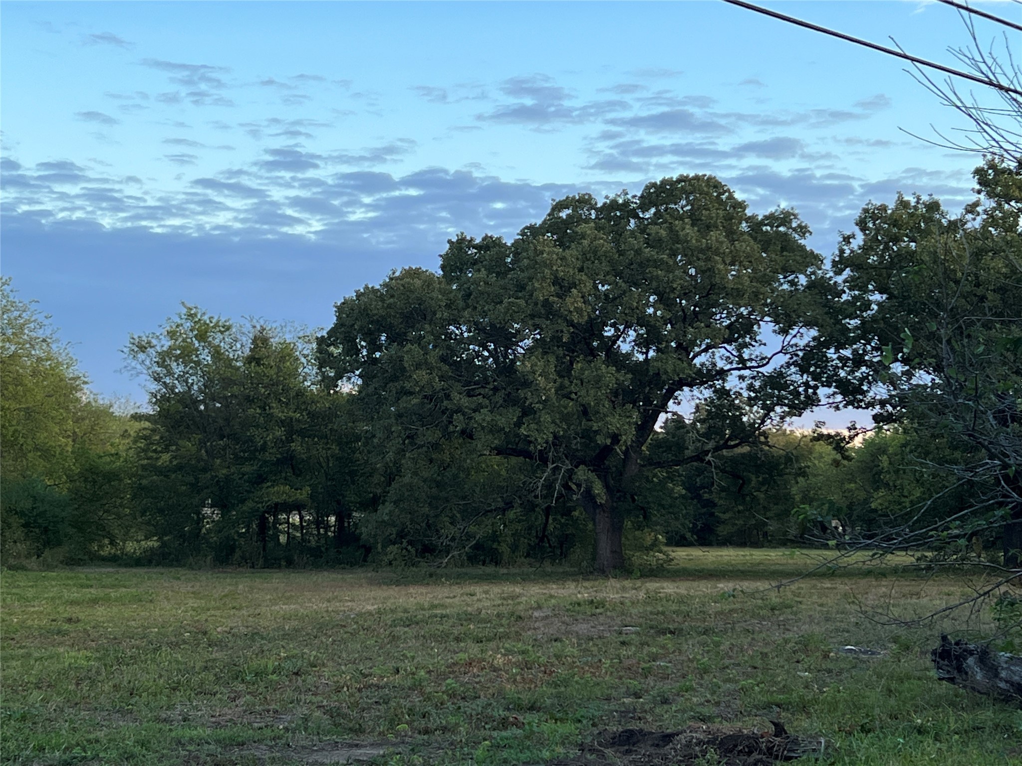 1300 W Shannon Road, Sulphur Springs, TX, 75482