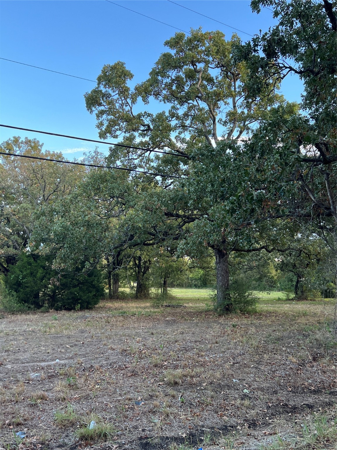 1300 W Shannon Road, Sulphur Springs, TX, 75482