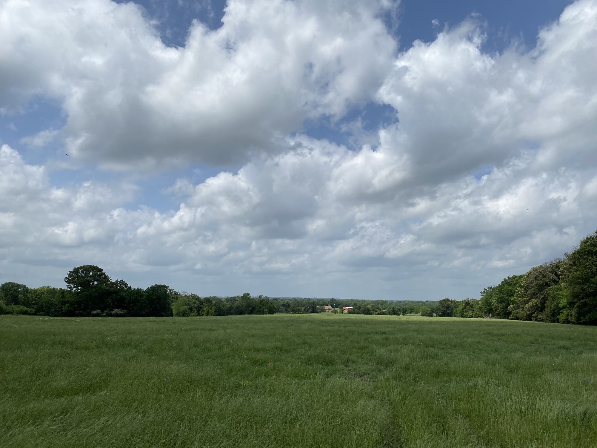 Property photo 03 of 3402 N I-20, Van, TX 75760 | MLS #20187882