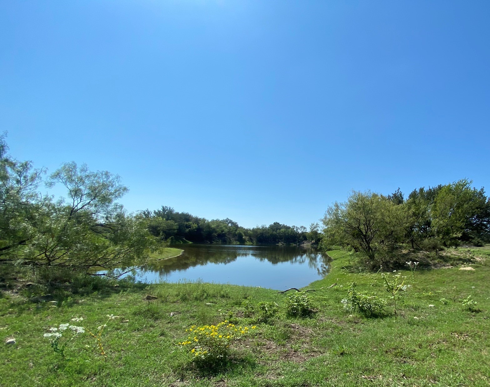 Property photo 01 of TBD S State Highway 16, Goldthwaite, TX 76844 | MLS #20190513