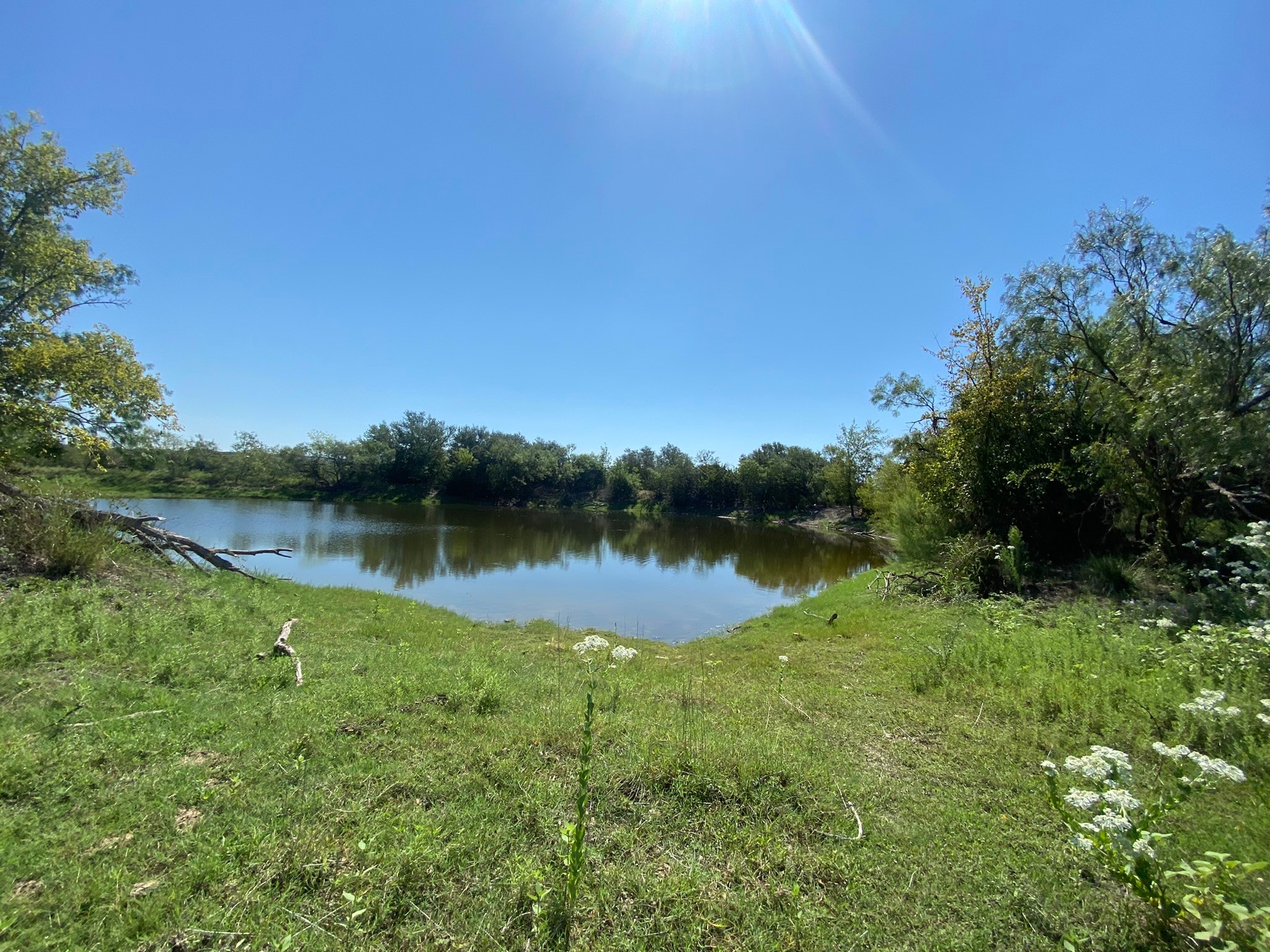 Property photo 02 of TBD S State Highway 16, Goldthwaite, TX 76844 | MLS #20190513