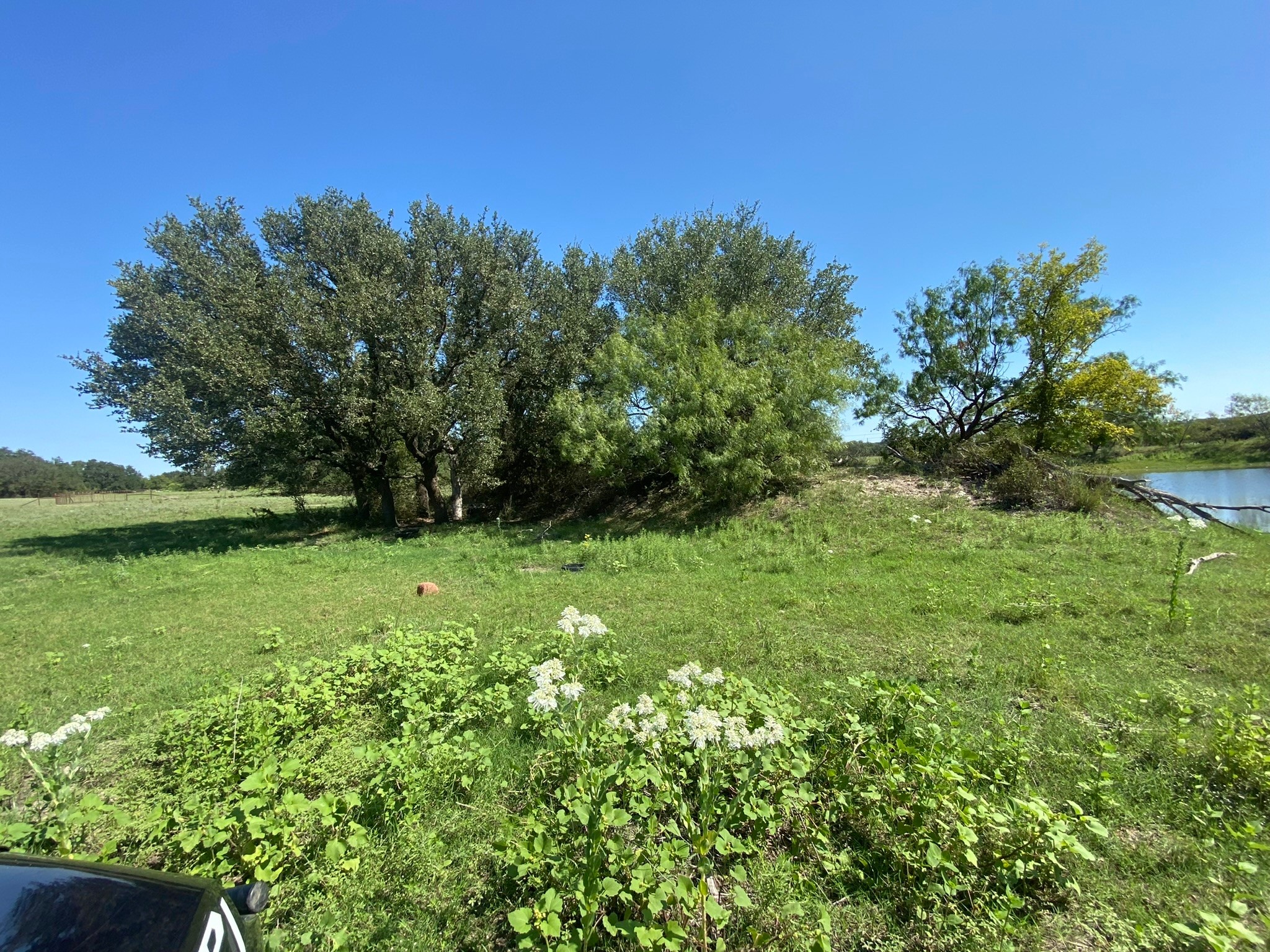 Property photo 03 of TBD S State Highway 16, Goldthwaite, TX 76844 | MLS #20190513