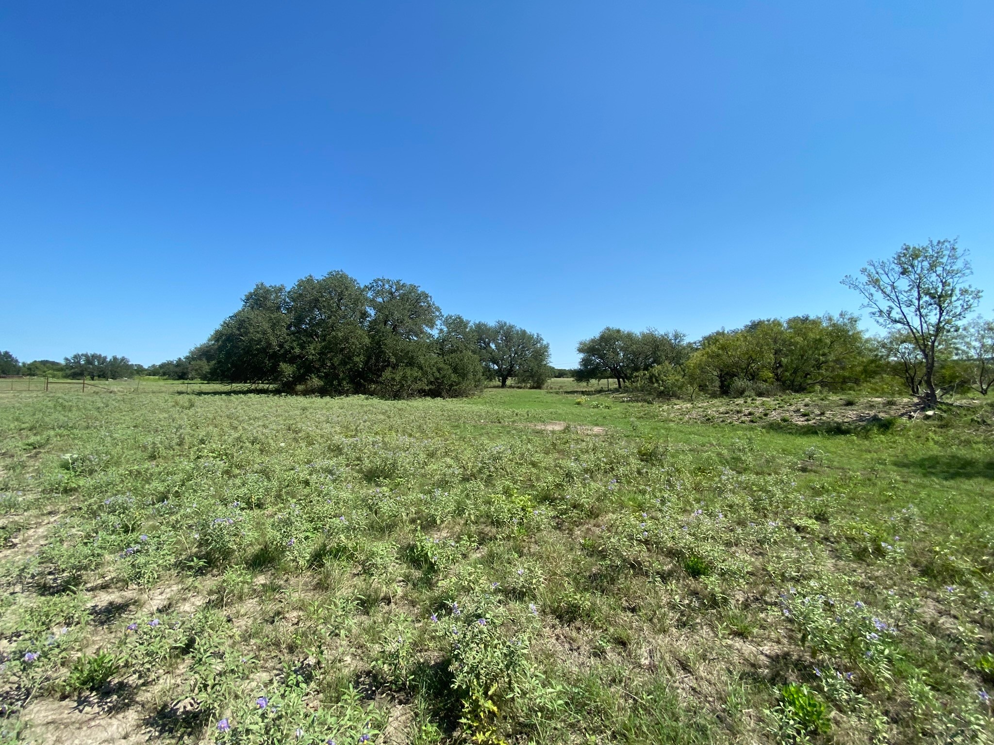 Property photo 04 of TBD S State Highway 16, Goldthwaite, TX 76844 | MLS #20190513