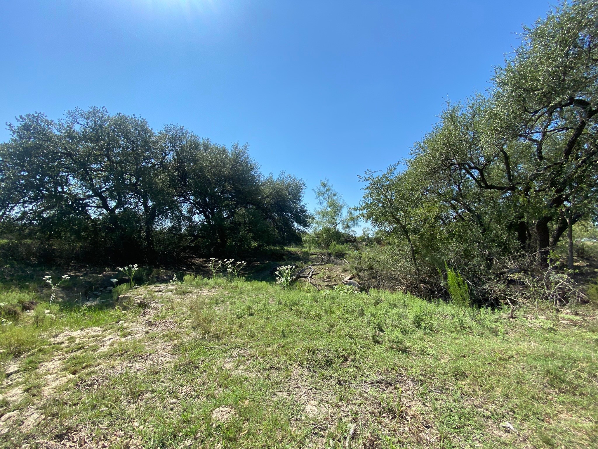 TBD S State Highway 16, Goldthwaite, TX, 76844