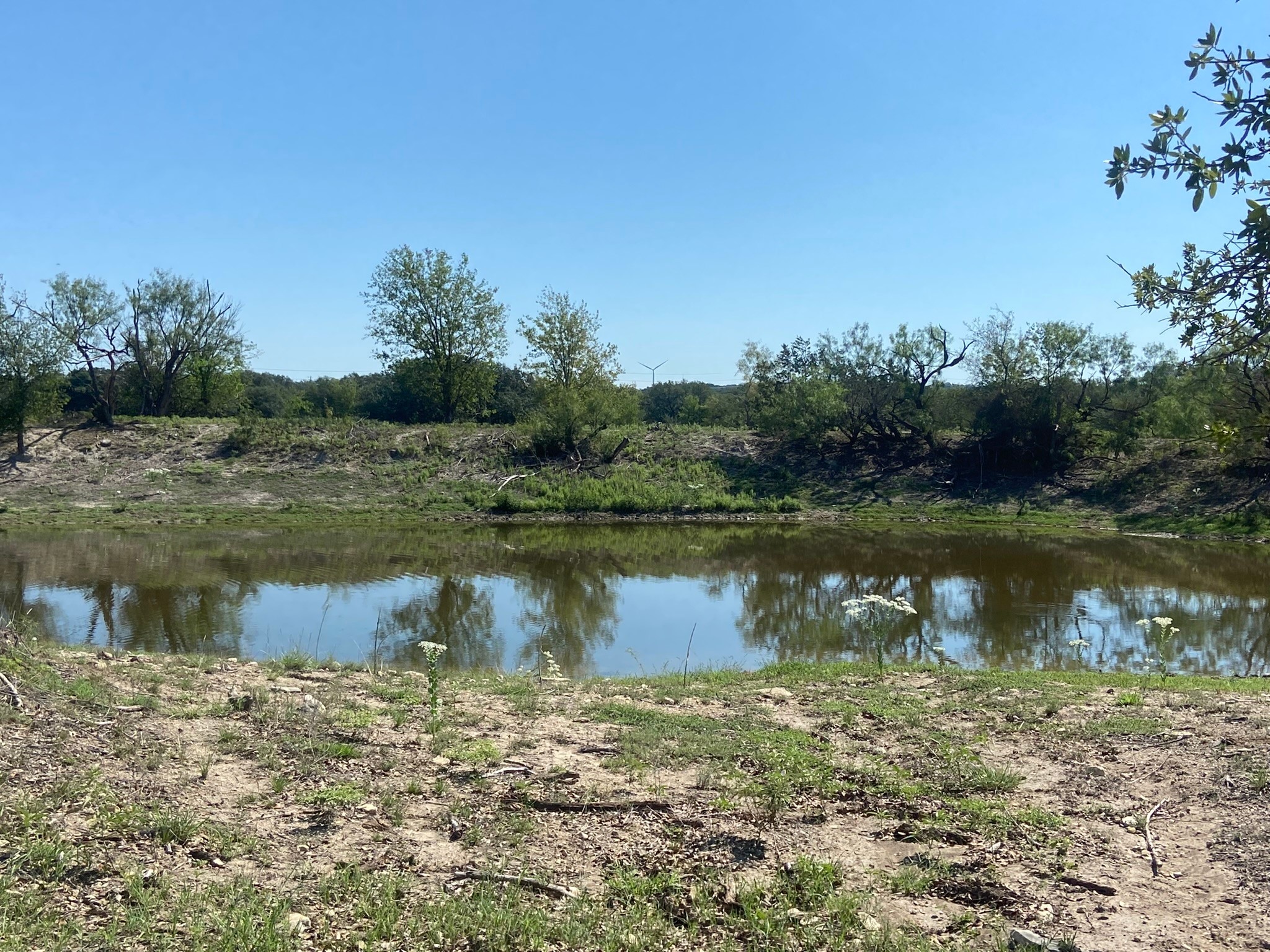 Property photo 01 of TBD S FM 3023 Highway, Goldthwaite, TX 76844 | MLS #20191041