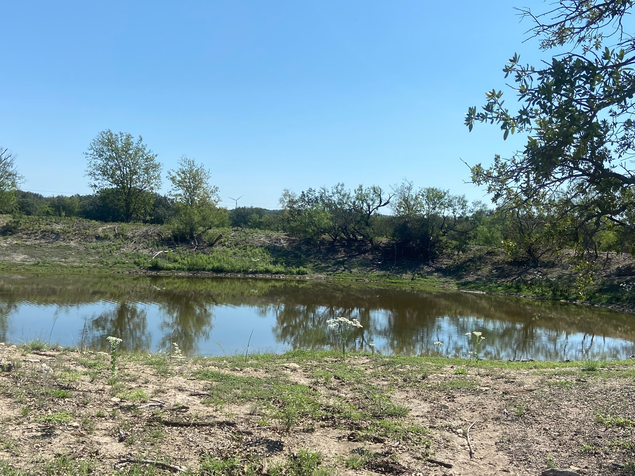 Property photo 02 of TBD S FM 3023 Highway, Goldthwaite, TX 76844 | MLS #20191041