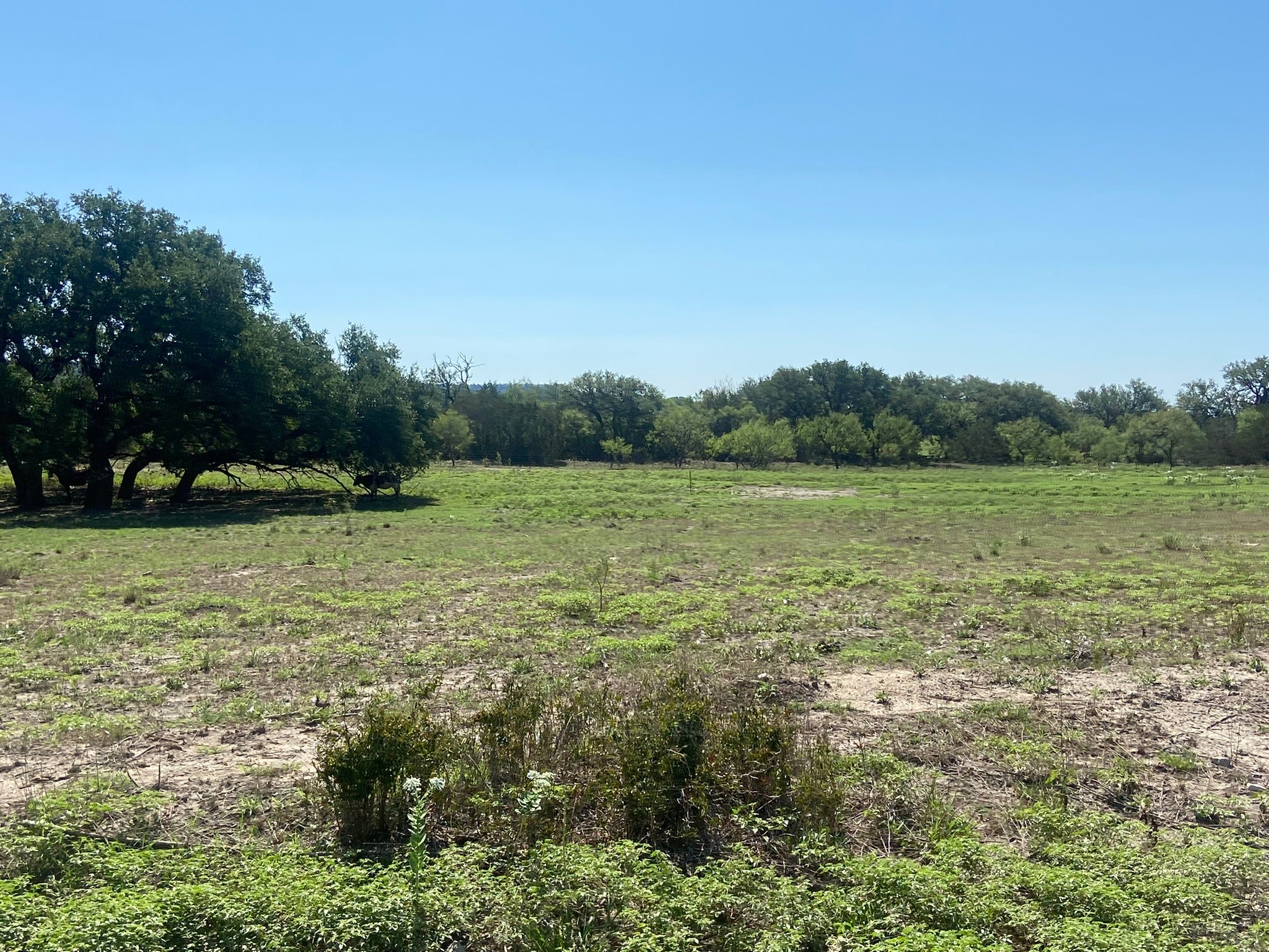 TBD S FM 3023 Highway, Goldthwaite, TX, 76844