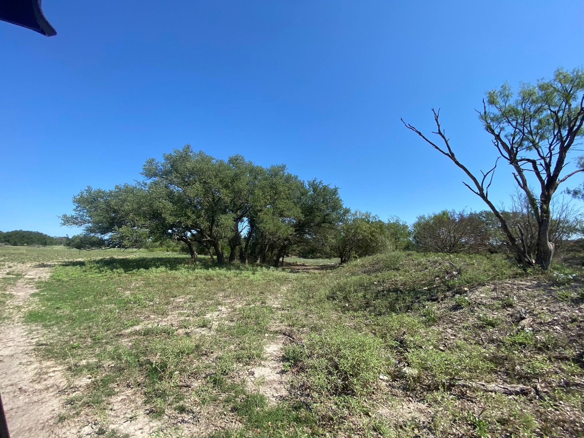 Property photo 04 of TBD S FM 3023 Highway, Goldthwaite, TX 76844 | MLS #20191041