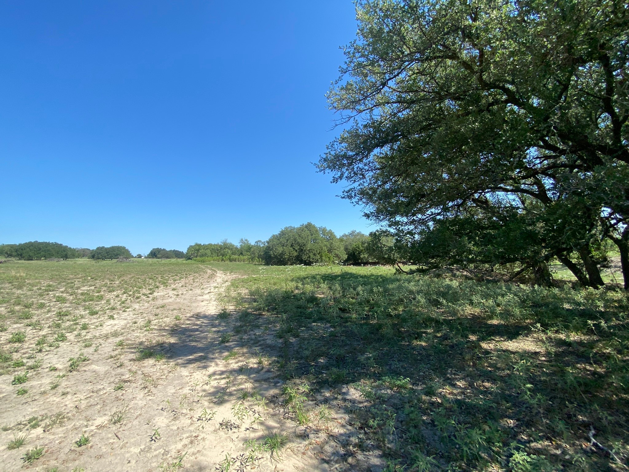 TBD S FM 3023 Highway, Goldthwaite, TX, 76844