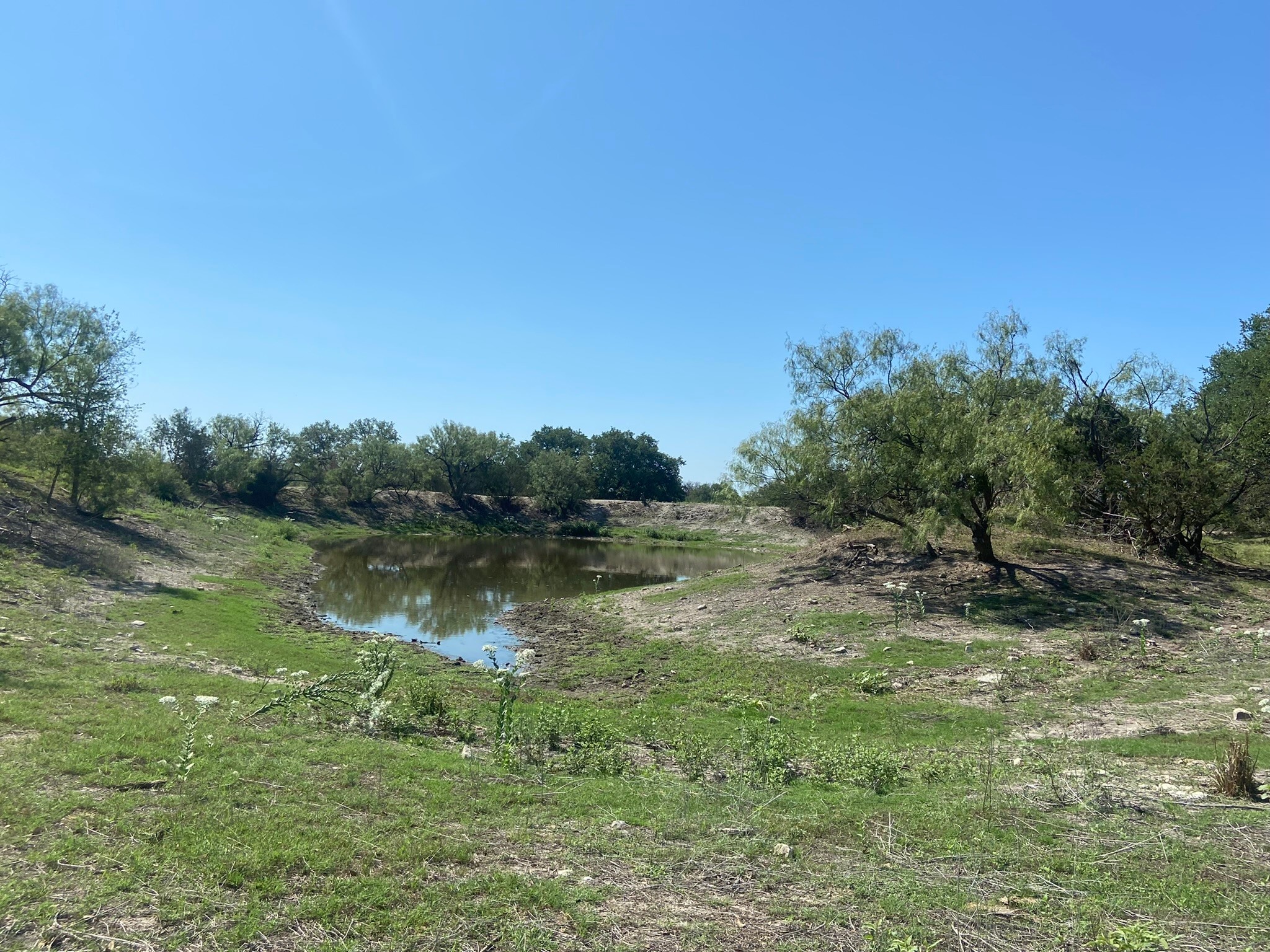 TBD S FM 3023 Highway, Goldthwaite, TX, 76844