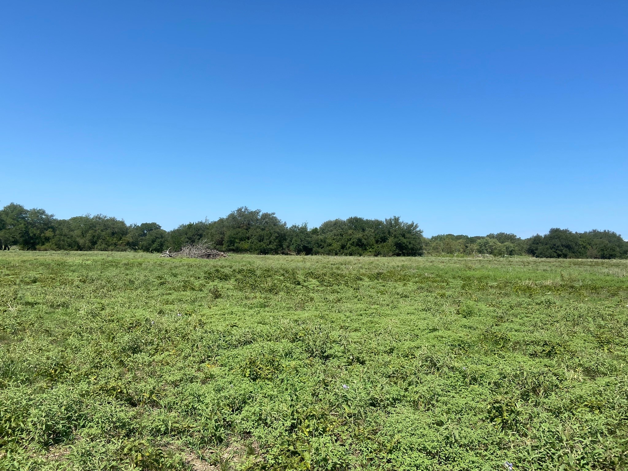 TBD S FM 3023 Highway, Goldthwaite, TX, 76844