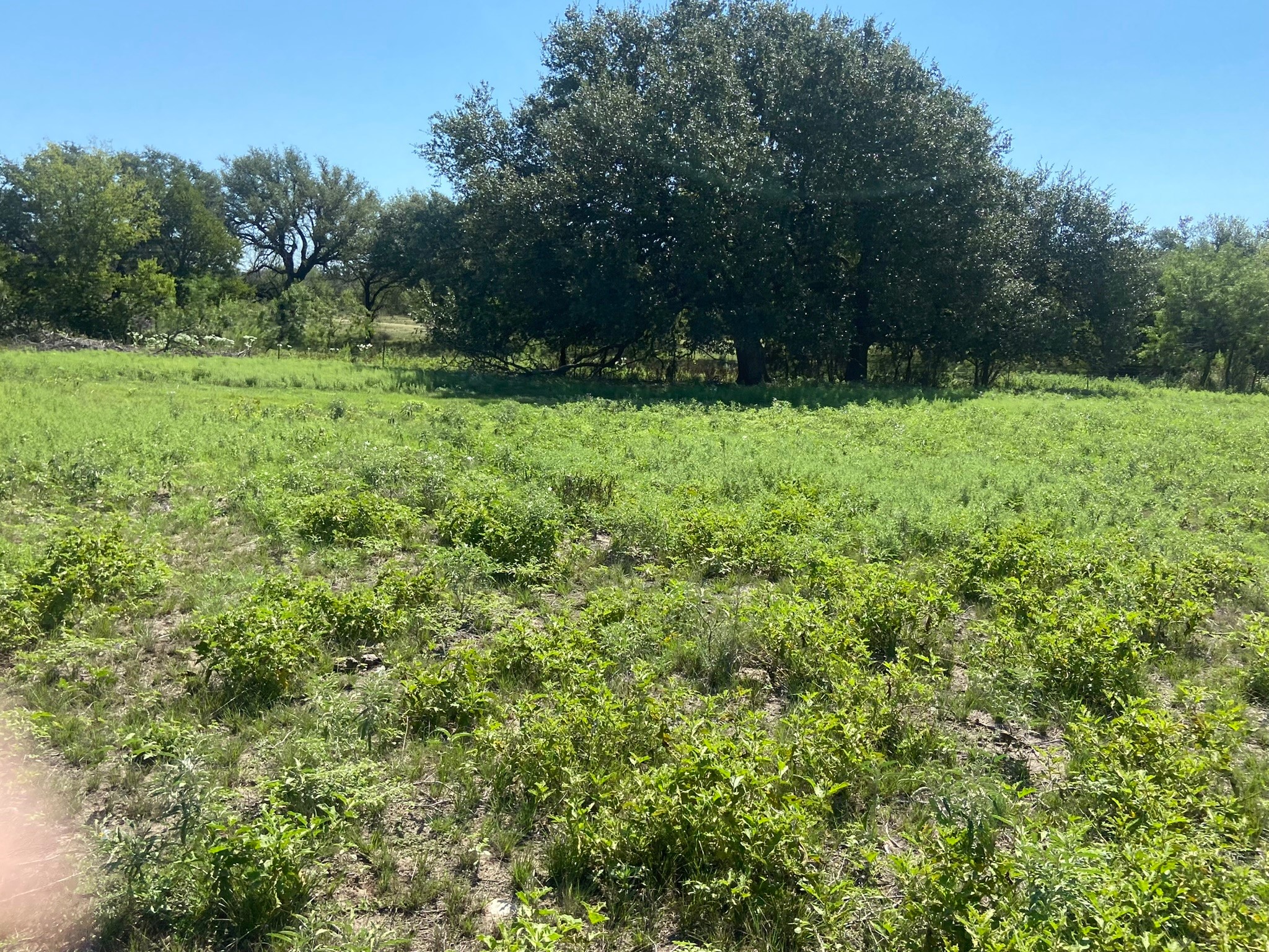 TBD S FM 3023 Highway, Goldthwaite, TX, 76844
