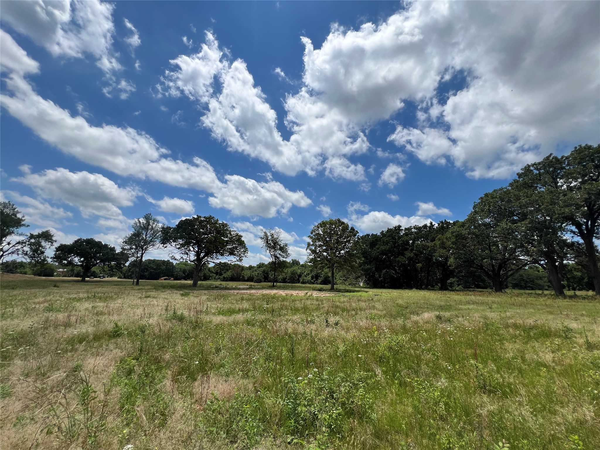 TBD W Shannon Road, Sulphur Springs, TX, 75482