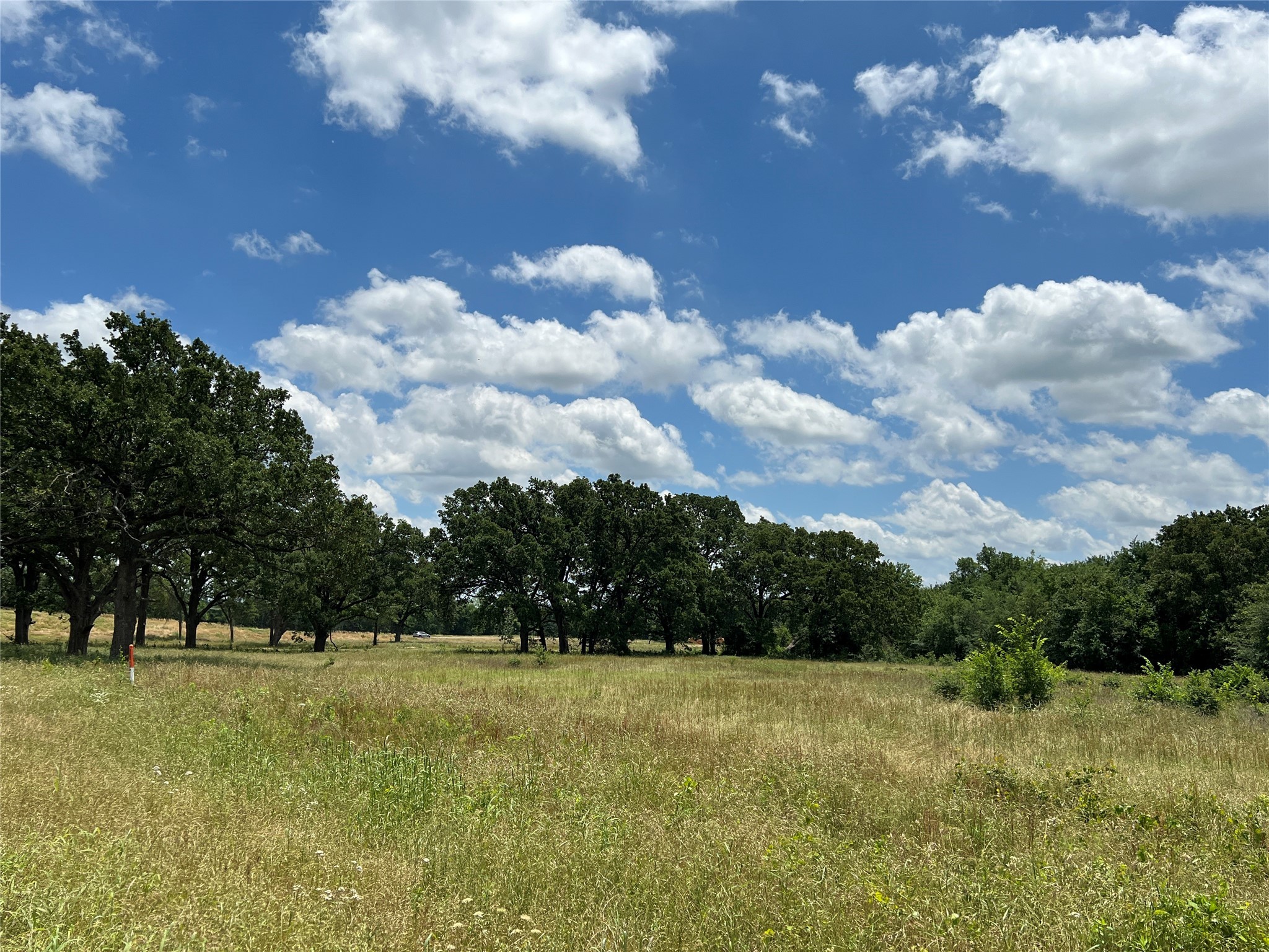 TBD W Shannon Road, Sulphur Springs, TX, 75482
