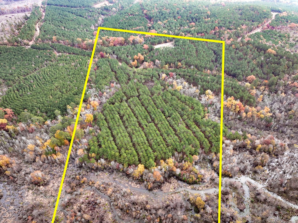 Property photo 01 of 0 CR 1651, Avinger, TX 75630 | MLS #20219279