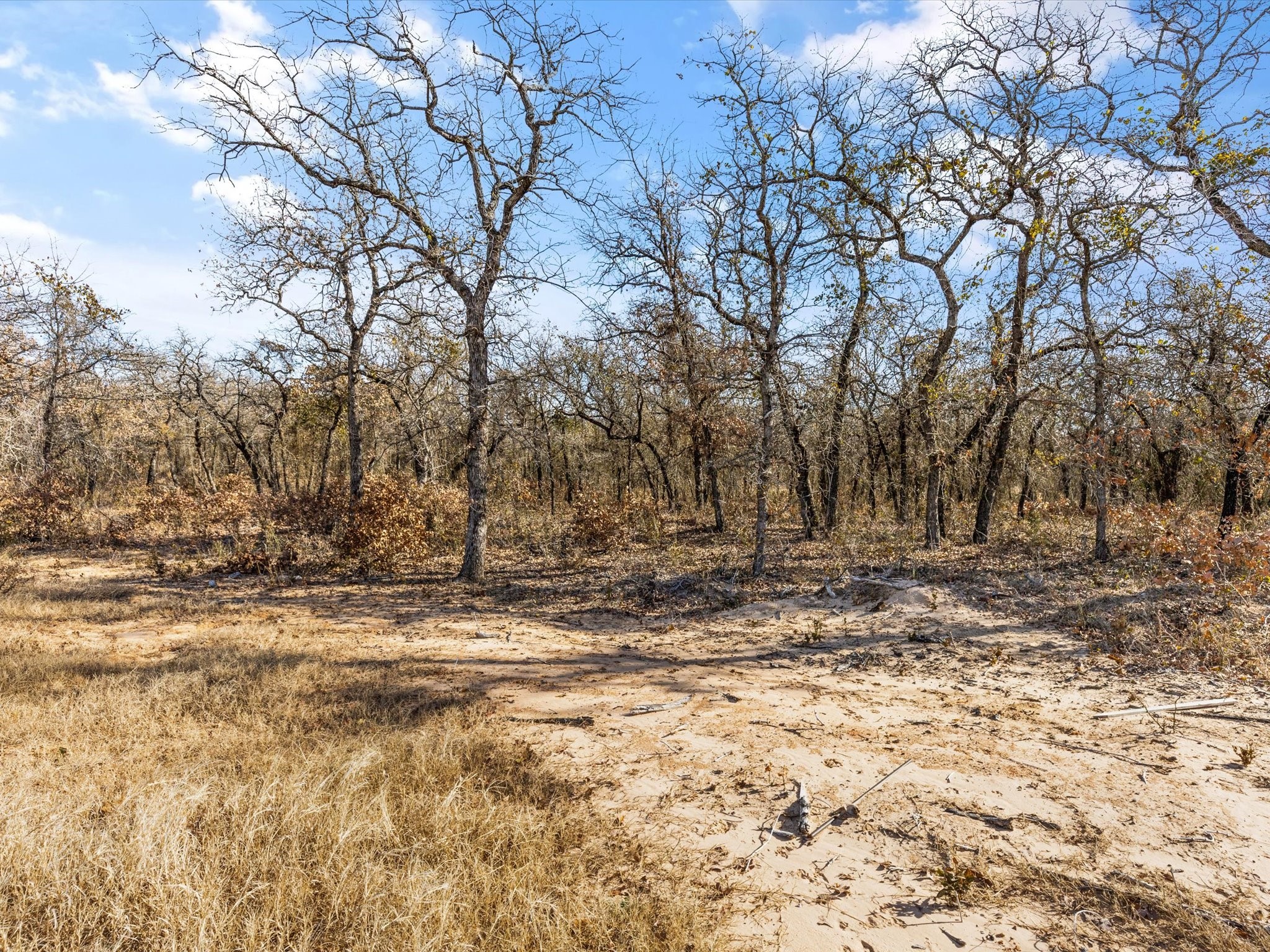 625 Dana Court, Tolar, TX, 76476
