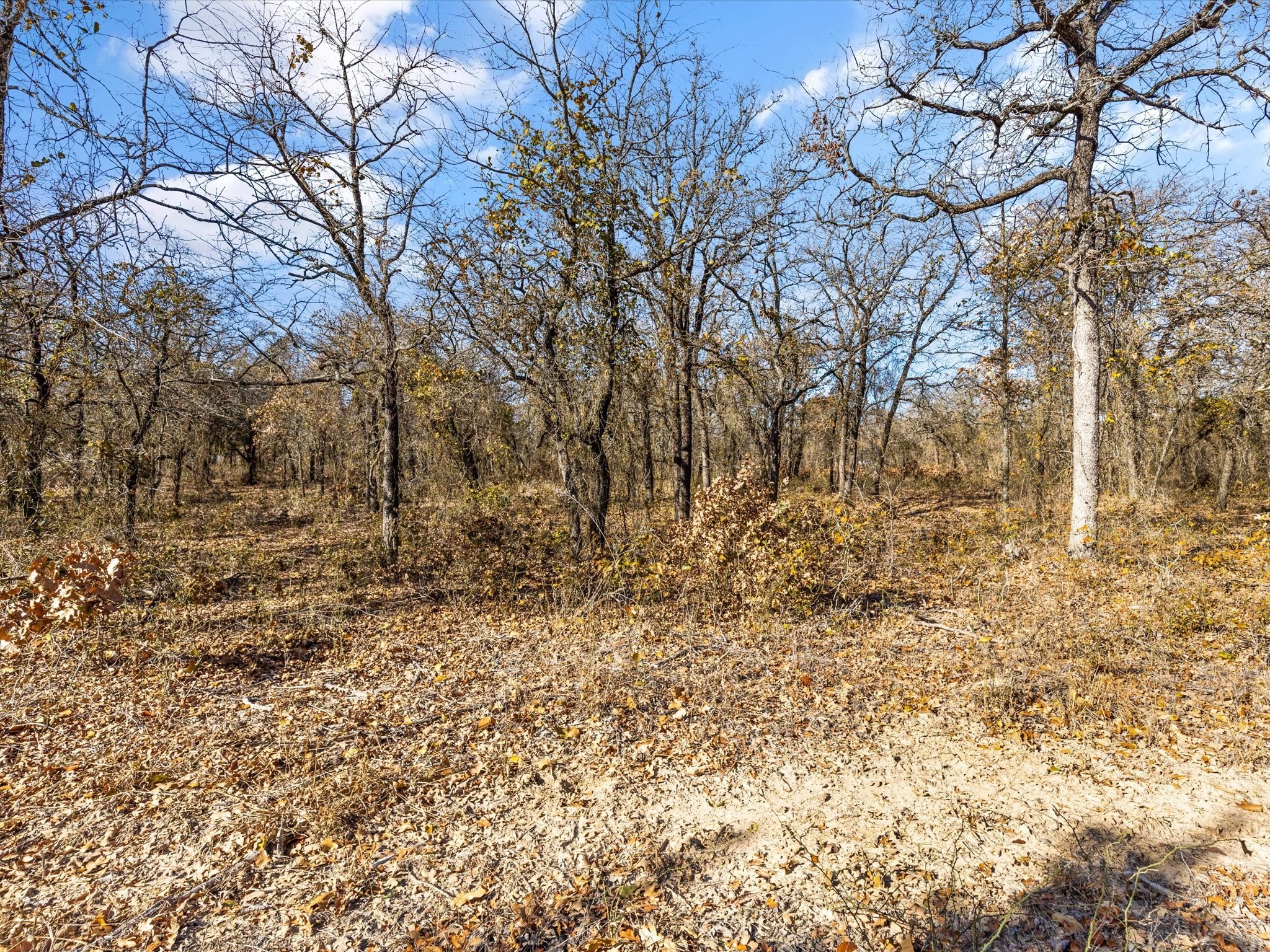 625 Dana Court, Tolar, TX, 76476