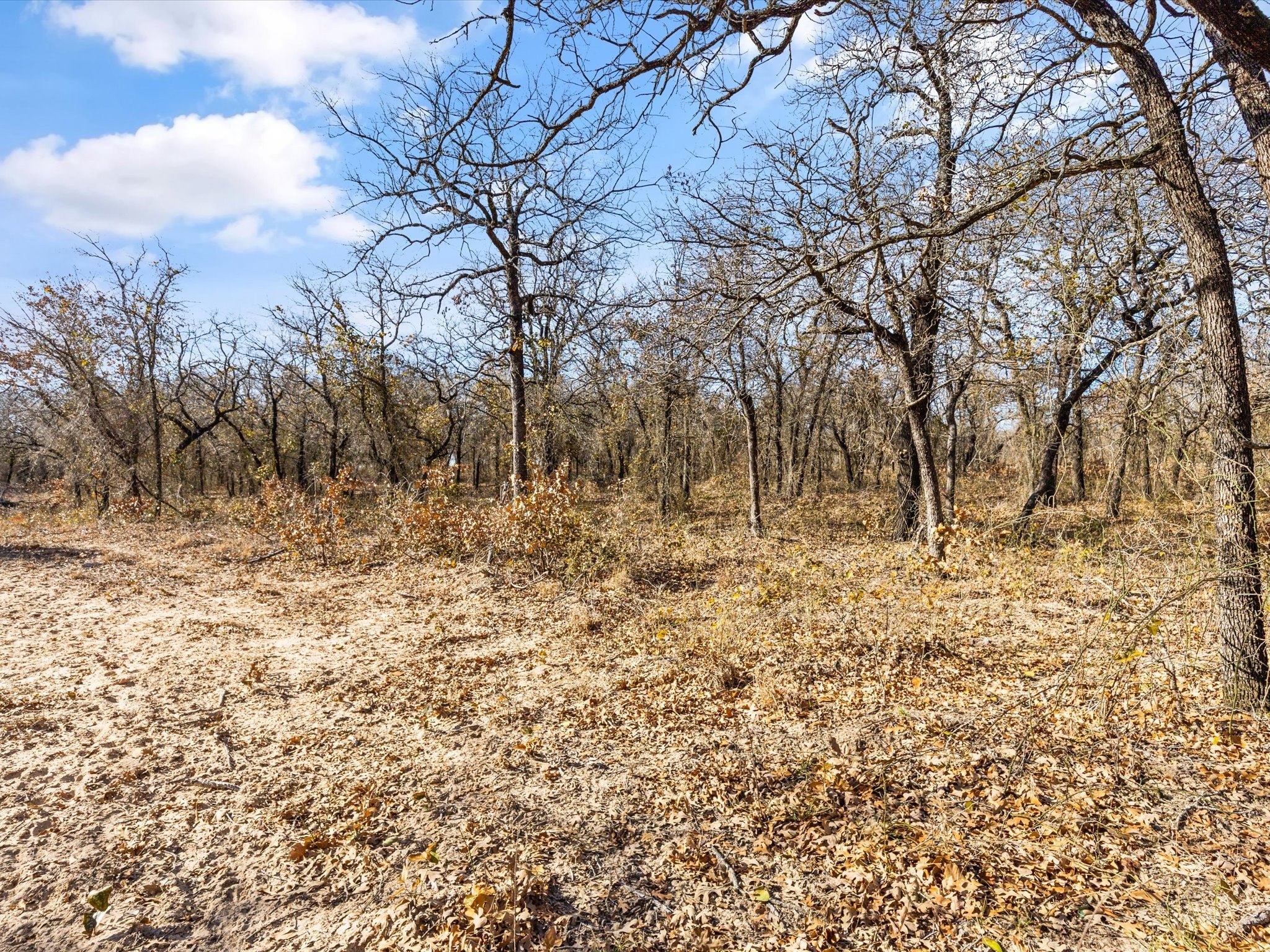 625 Dana Court, Tolar, TX, 76476
