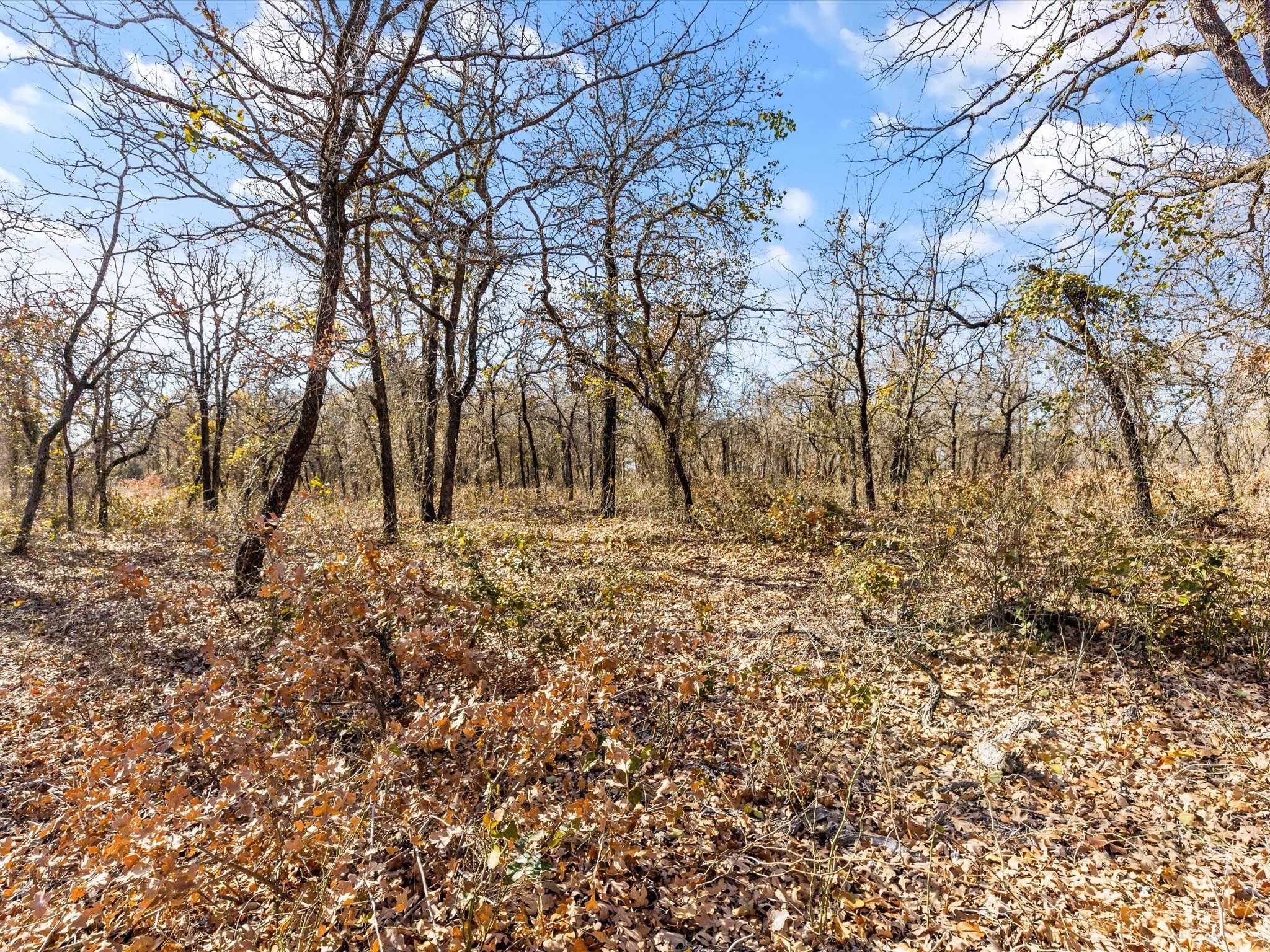 625 Dana Court, Tolar, TX, 76476