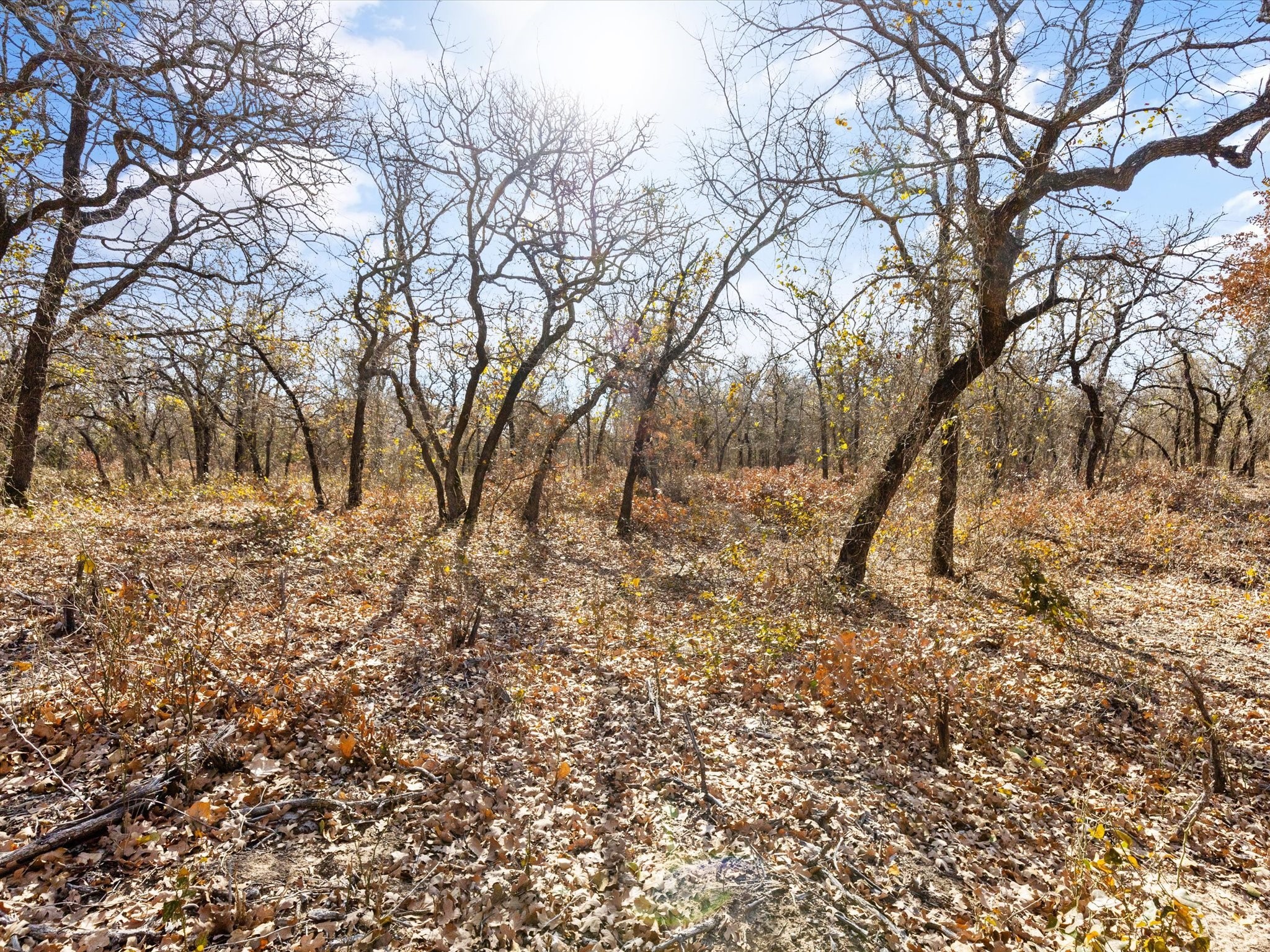 625 Dana Court, Tolar, TX, 76476