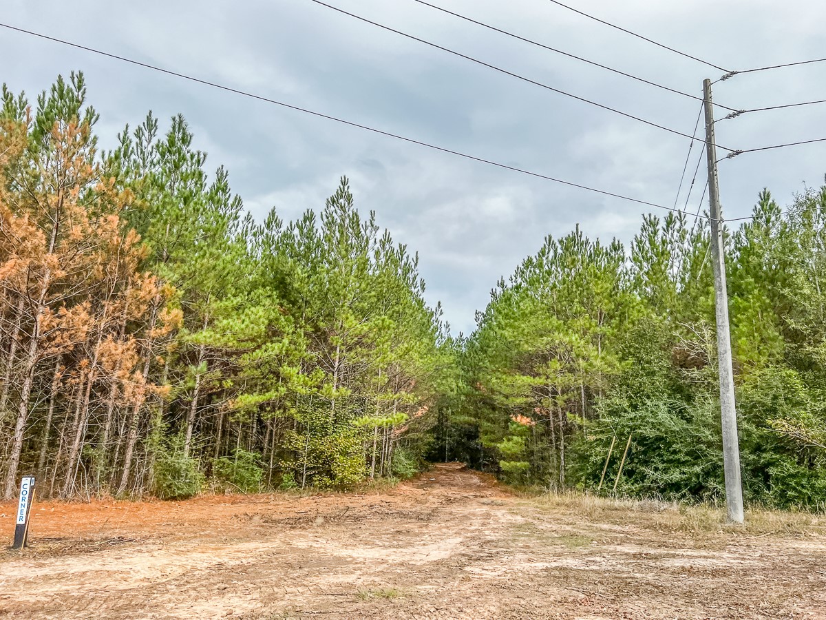 Property photo 02 of 06 S CR 2305, Cleveland, TX 77327 | MLS #20237462