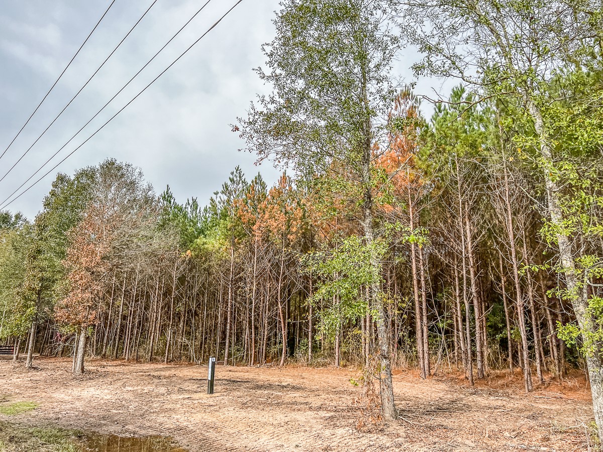 Property photo 04 of 06 S CR 2305, Cleveland, TX 77327 | MLS #20237462