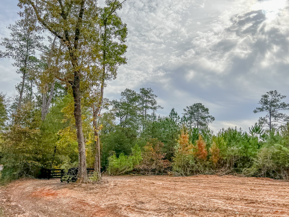 06 S CR 2305, Cleveland, TX, 77327