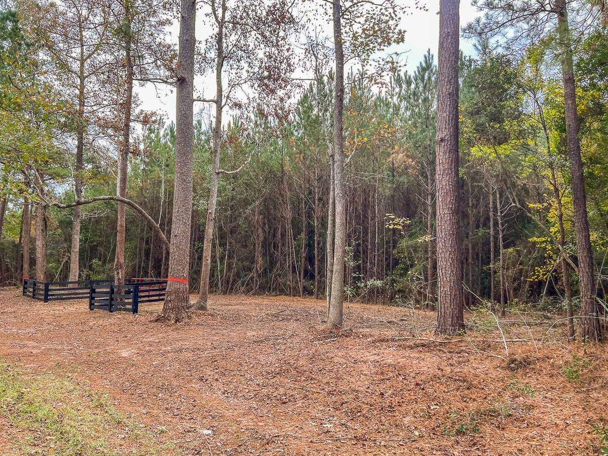 06 S CR 2305, Cleveland, TX, 77327