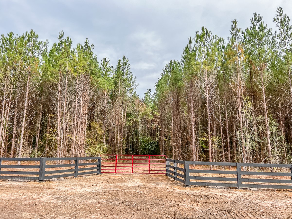 06 S CR 2305, Cleveland, TX, 77327