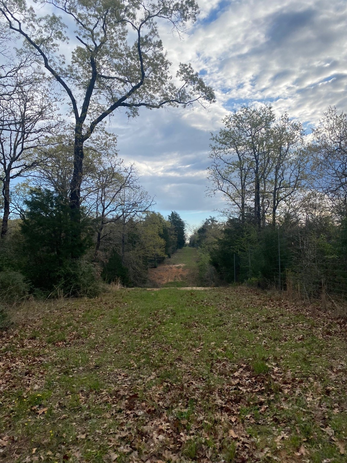 TBD 3 FM 1848, Buffalo, TX, 75831