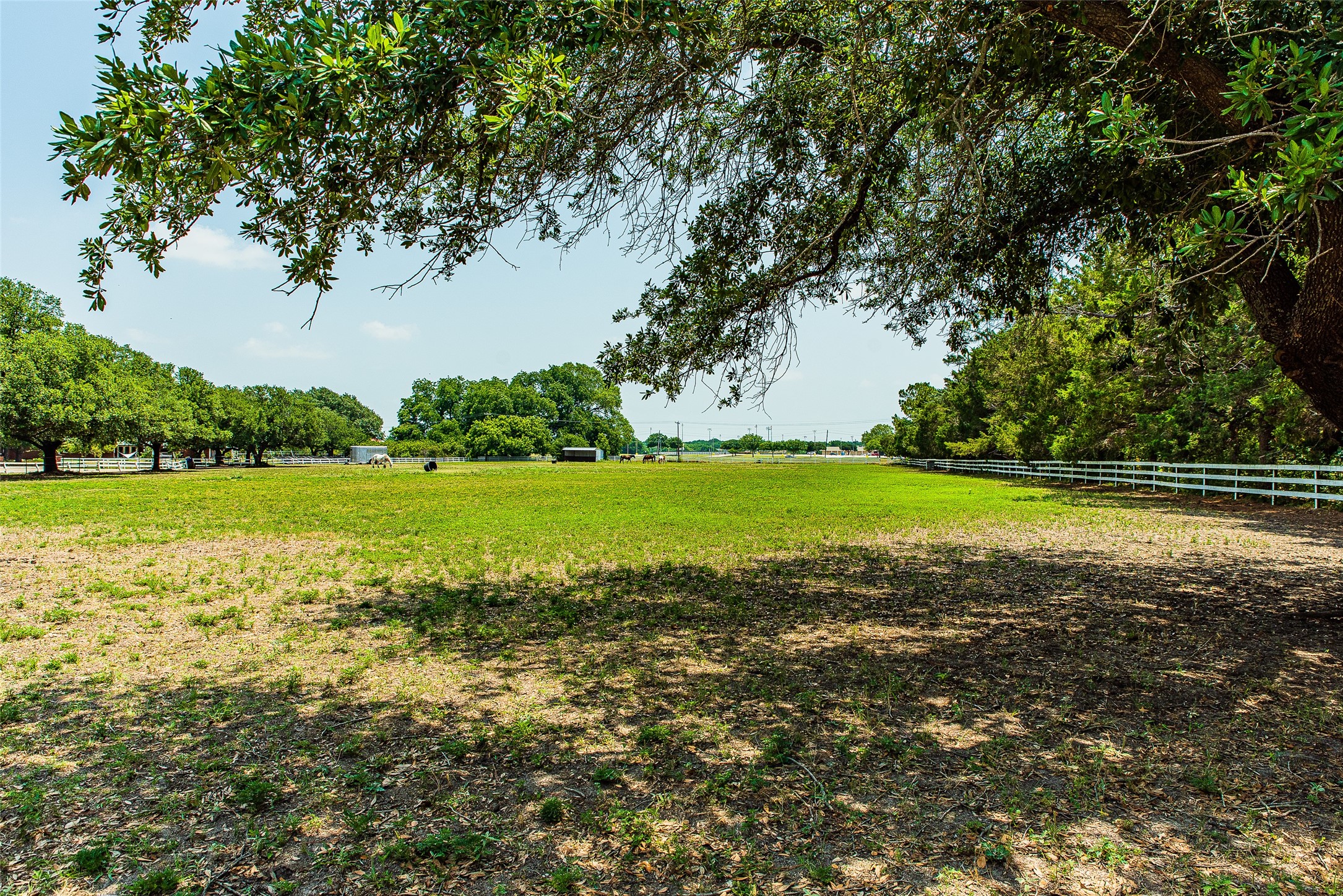 Property photo 03 of MLS #20394773 | MLS #20394773