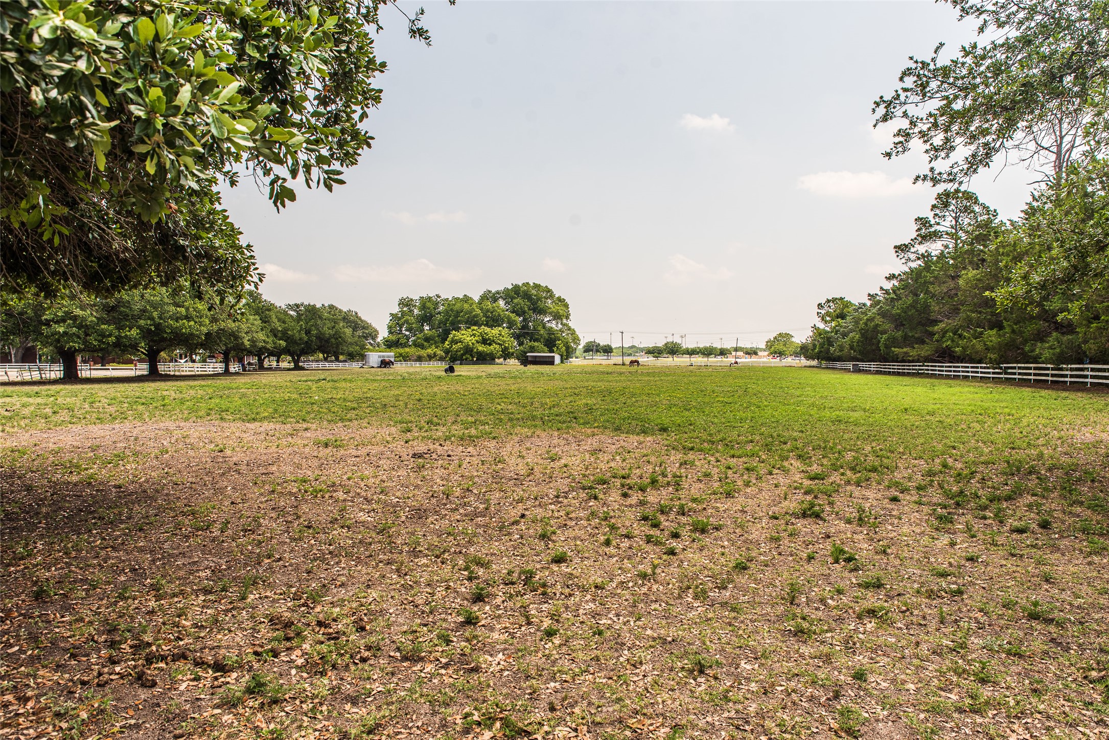Property photo 04 of MLS #20394773 | MLS #20394773